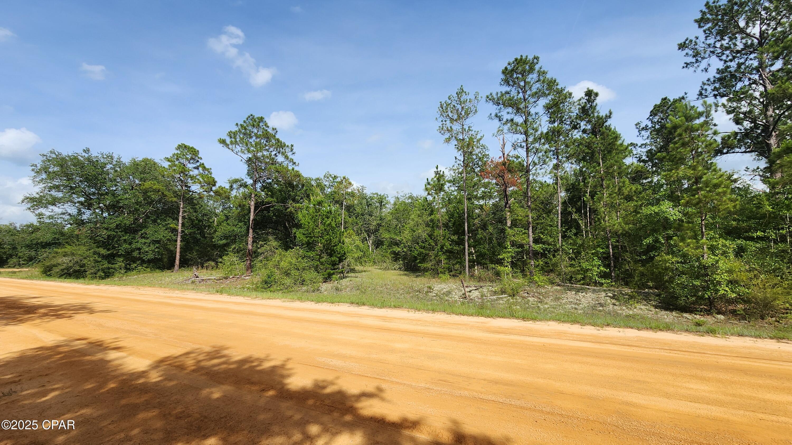 Image 6 For 0 Petty Road Lot 11