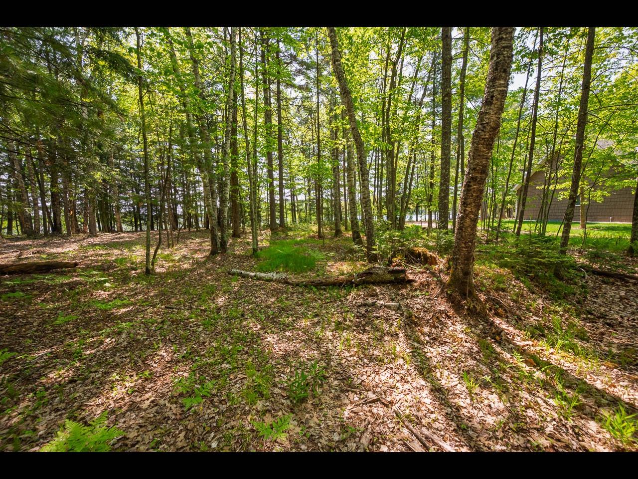 Clearwater Lake Property Lot 16 Memory Ln Photo 3