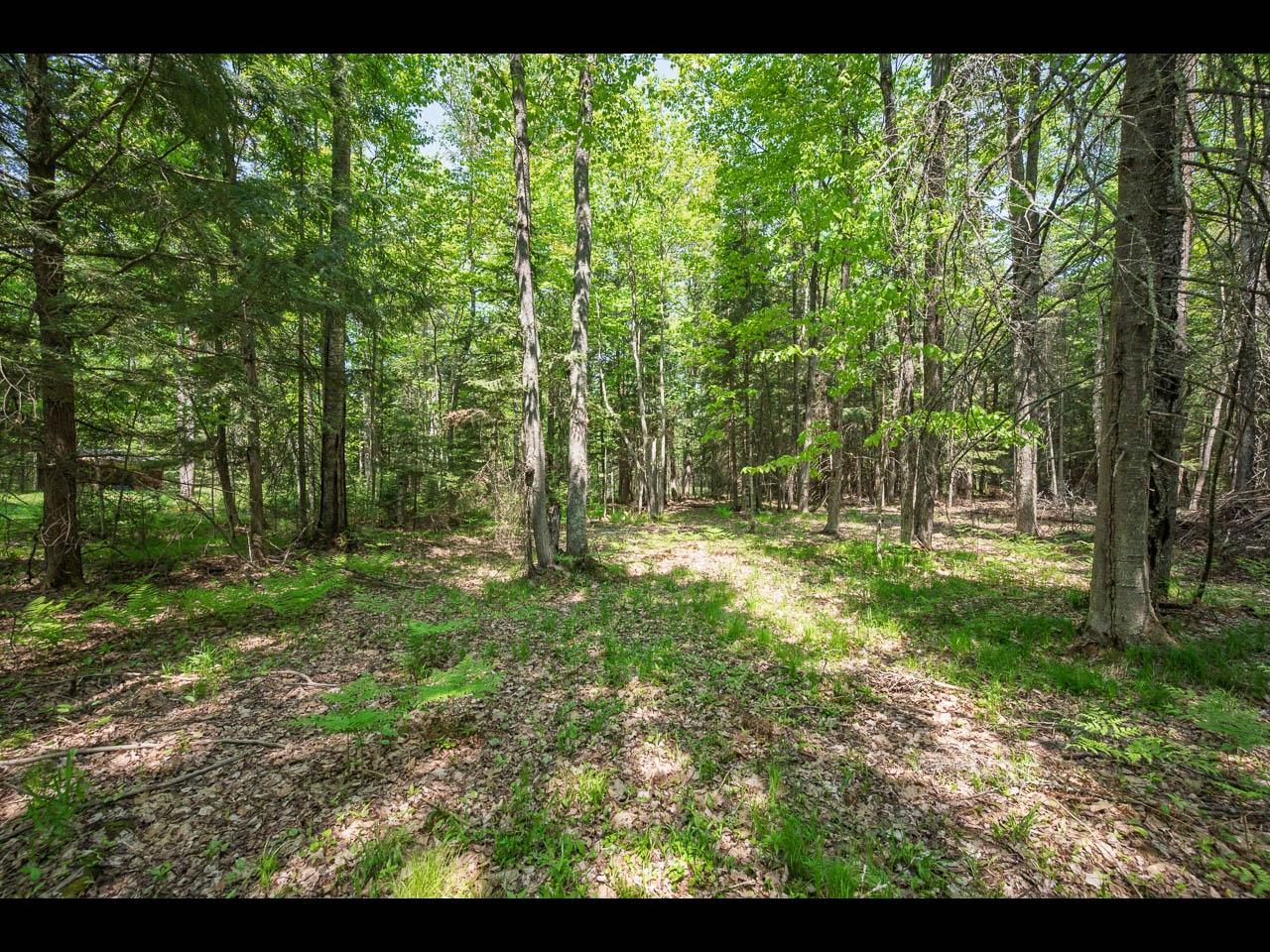 Clearwater Lake Property Lot 16 Memory Ln Photo 4