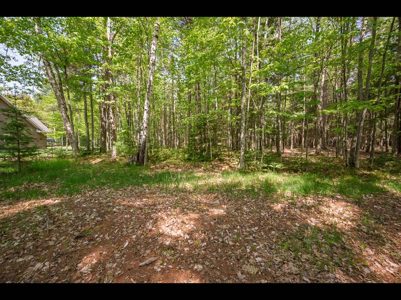 Clearwater Lake Property Lot 16 Memory Ln Photo 5