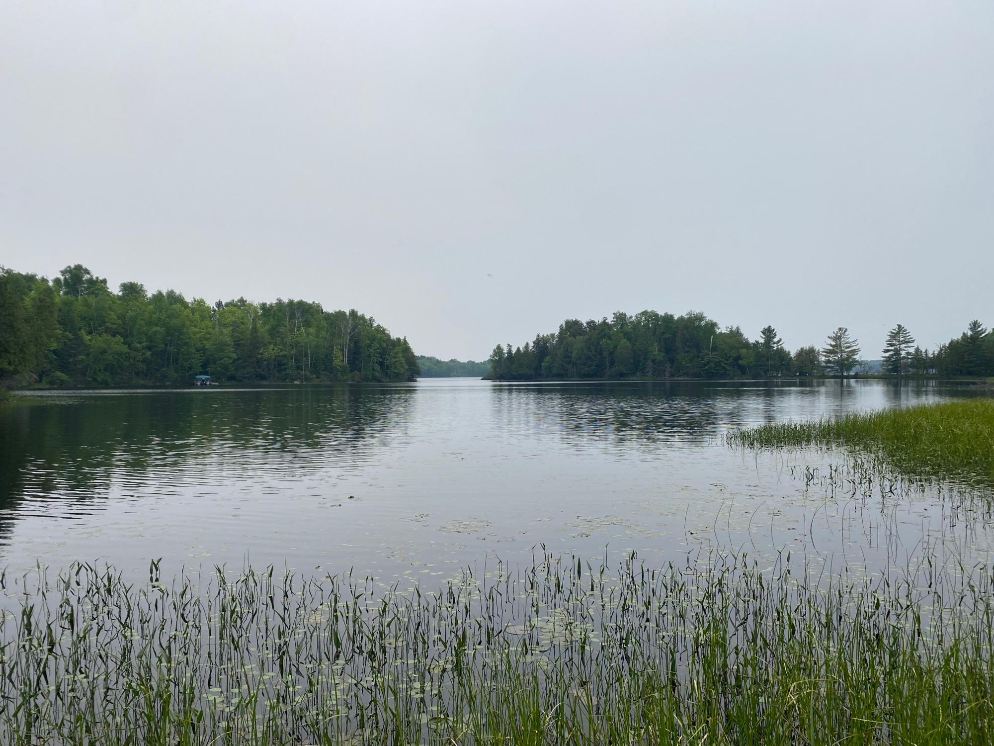 Oxbow Lake Property LOT Hiawatha Shores Rd Photo 3