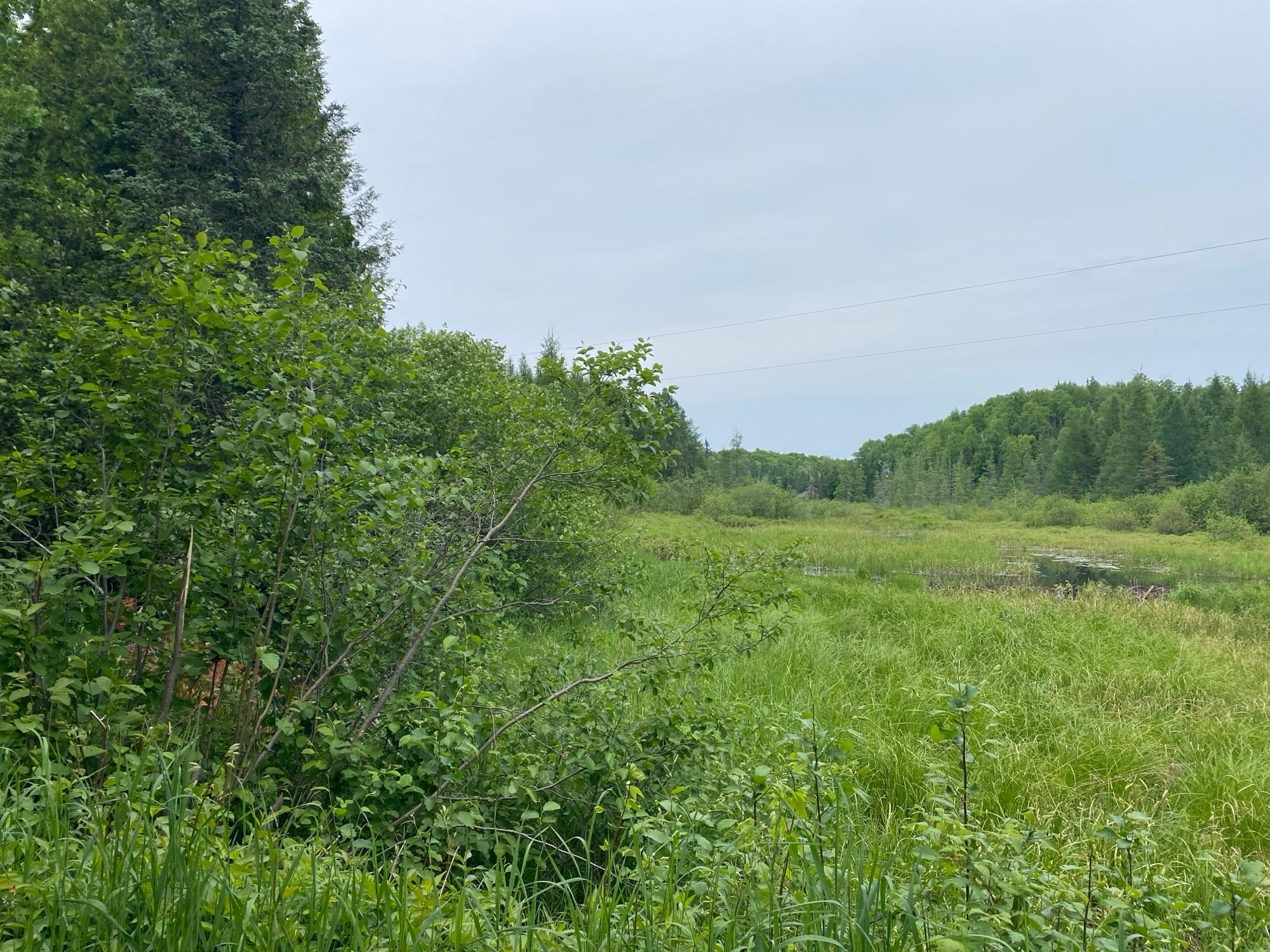 Oxbow Lake Property LOT Hiawatha Shores Rd Photo 7