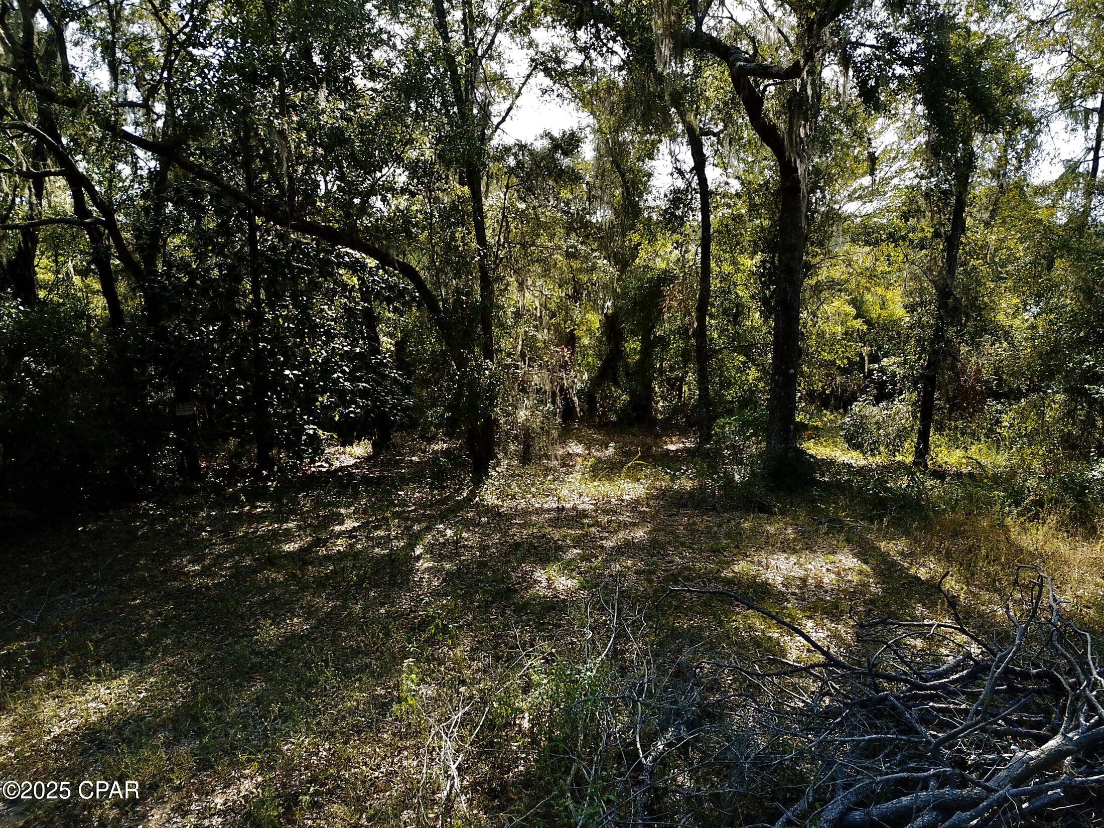 Image 24 For Lot 37 Cove Road