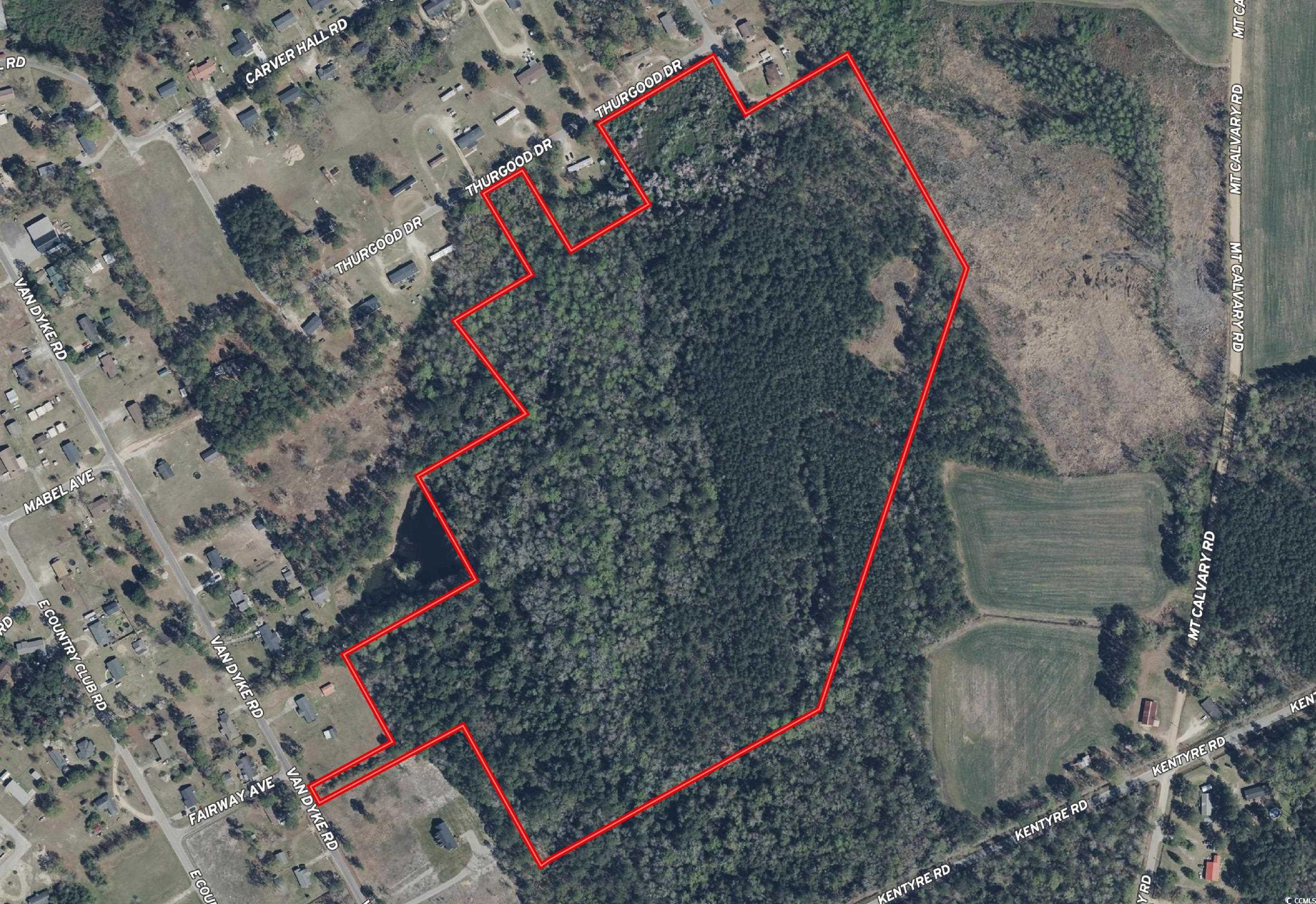 TBD Thurgood Dr Hamer, SC 29547