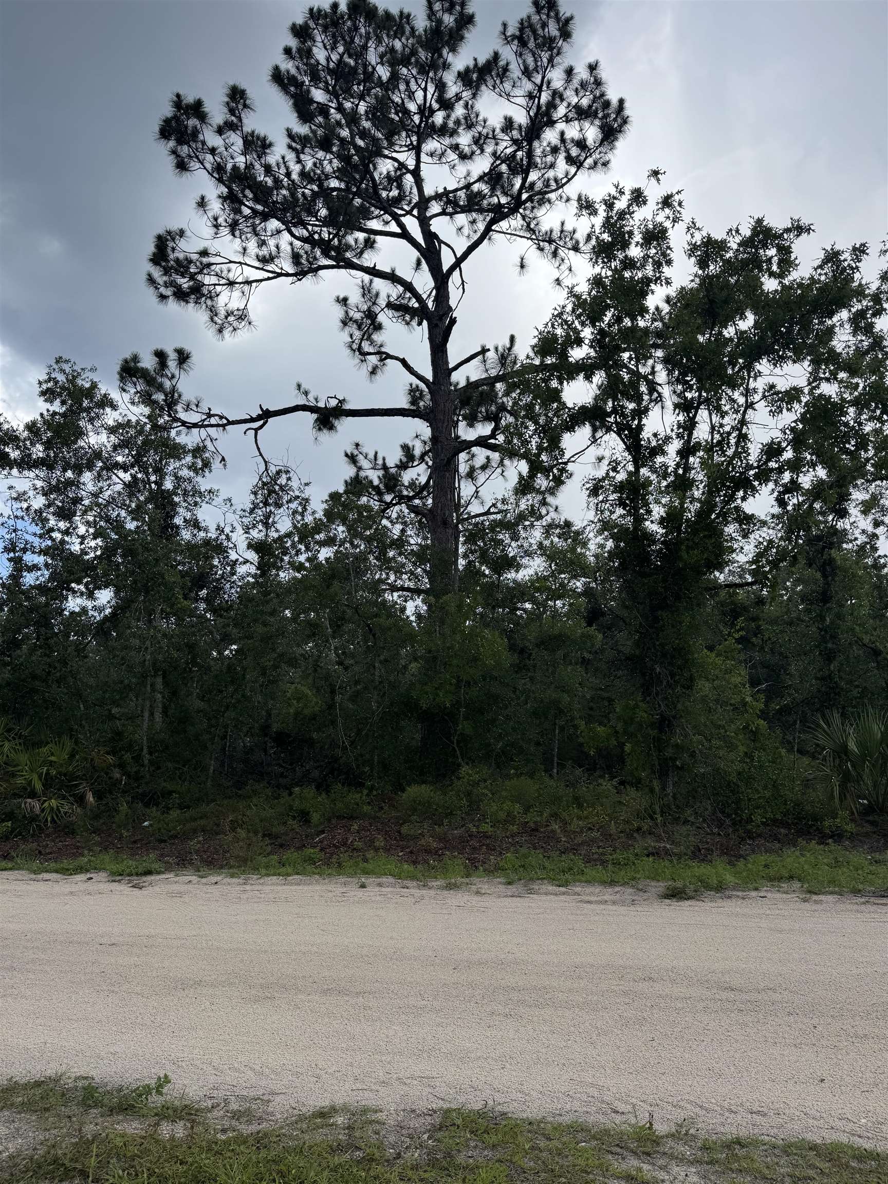 TBD Breeze Drive, Perry, Florida image 1