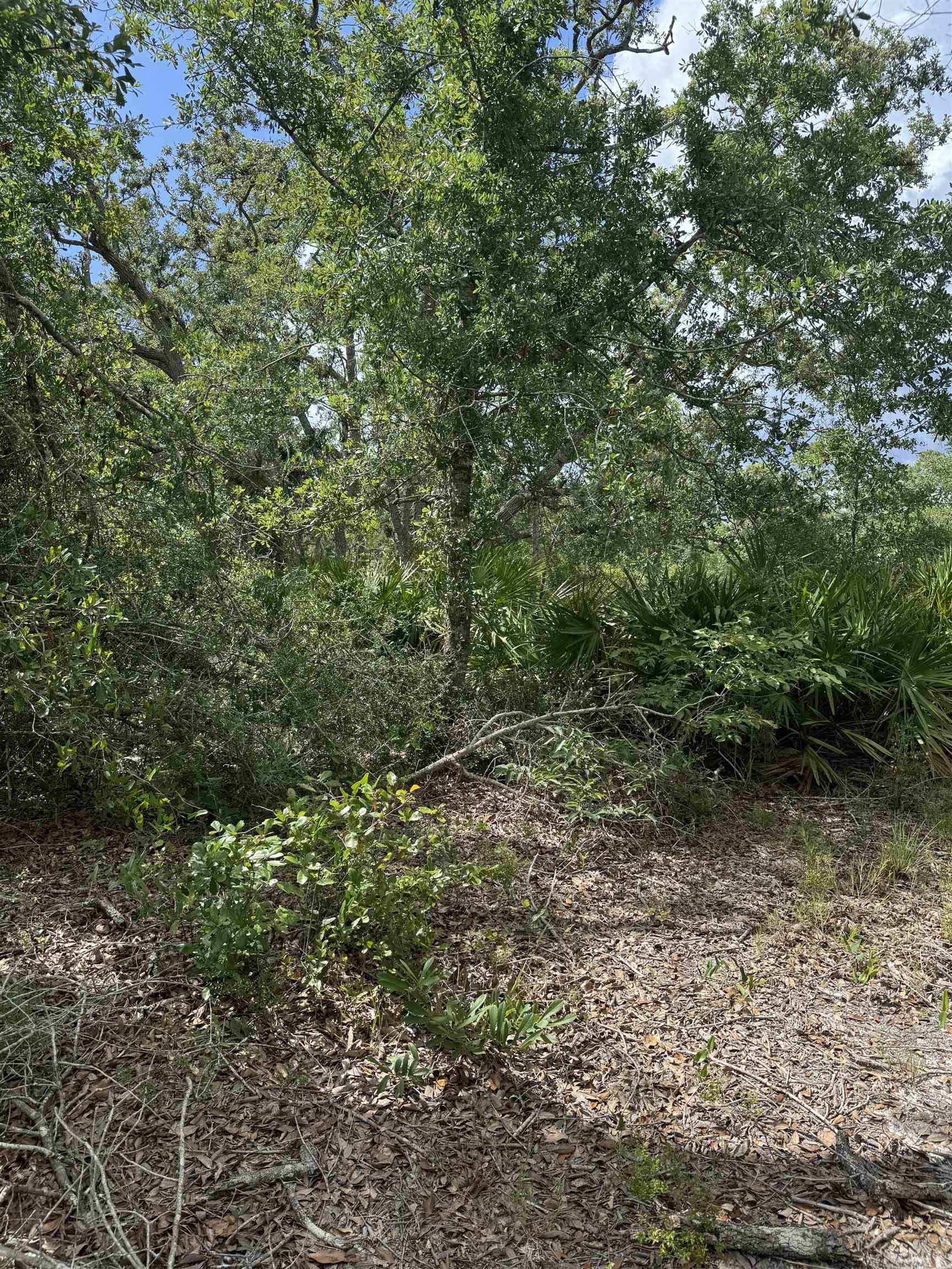 TBD Breeze Drive, Perry, Florida image 2