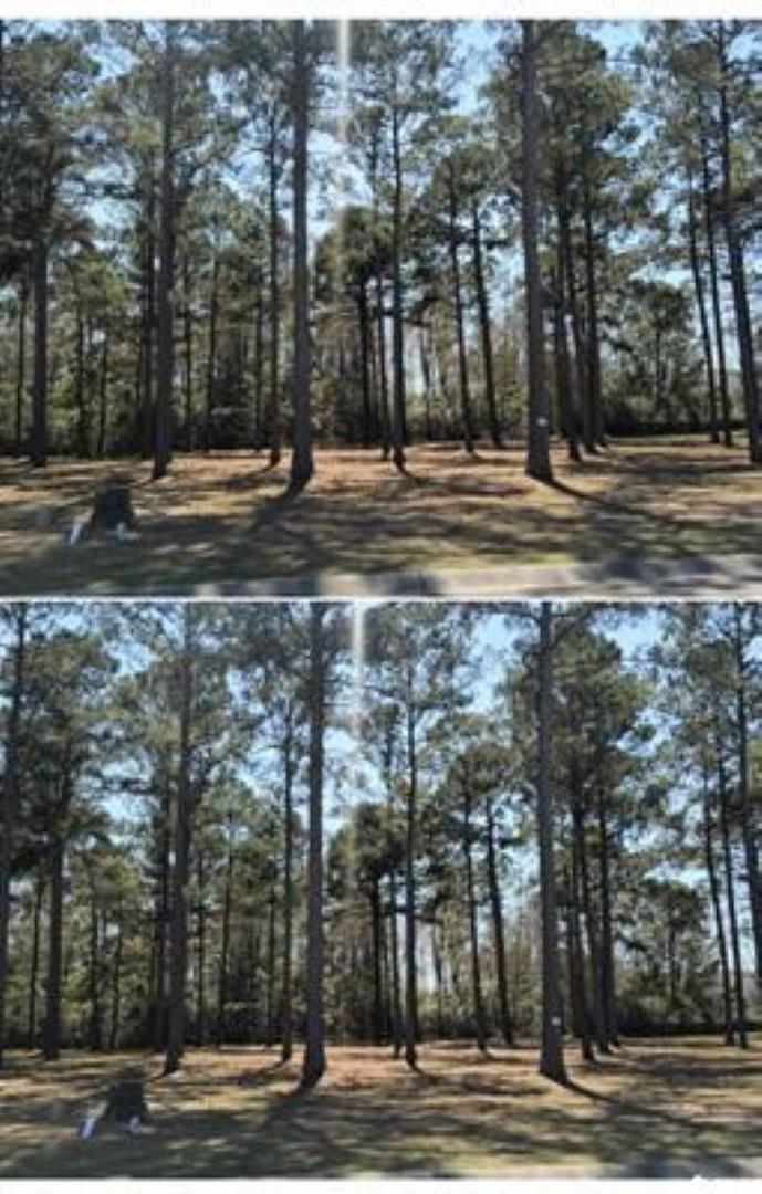 1148 Fiddlehead Way Myrtle Beach, SC 29579