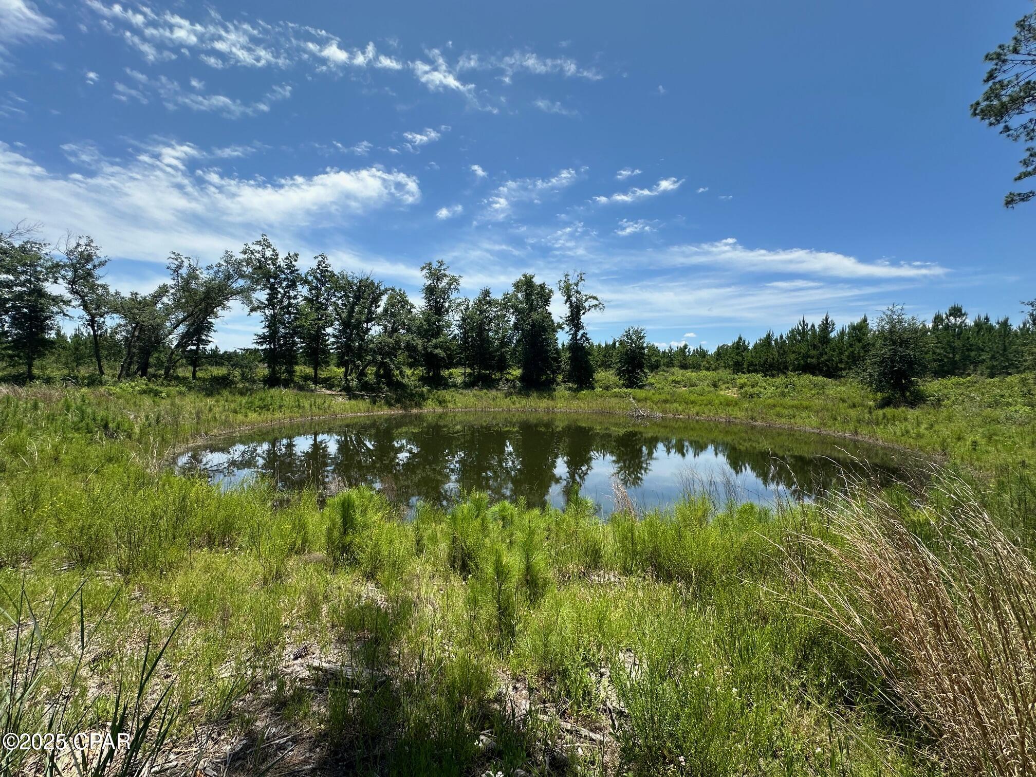 Image 10 For 000 Camp Head Road