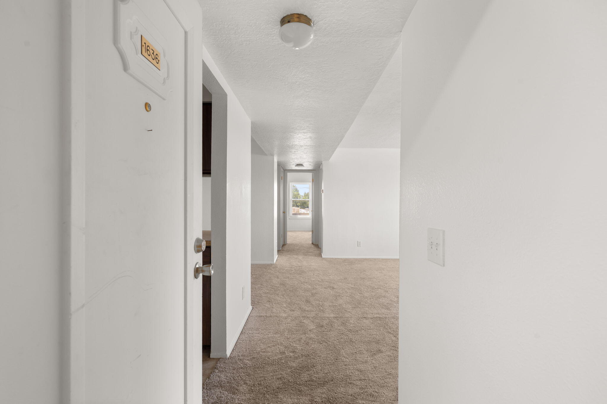 3869 MONTGOMERY Boulevard NE 1636 