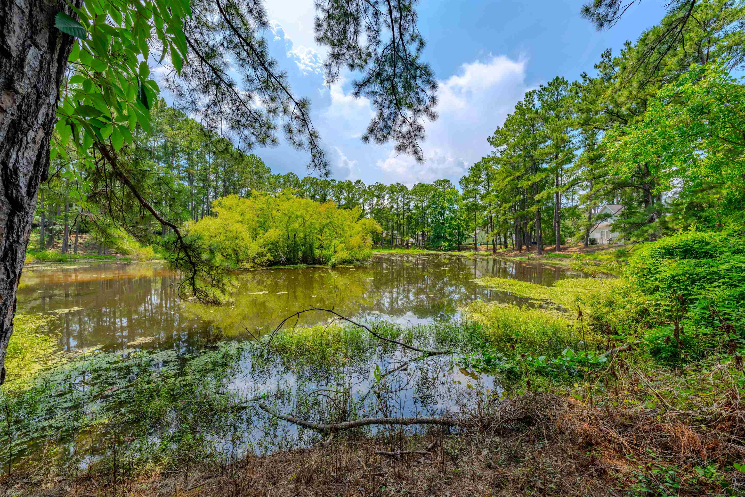 3073 Reed Lane, Tallahassee, Texas image 23