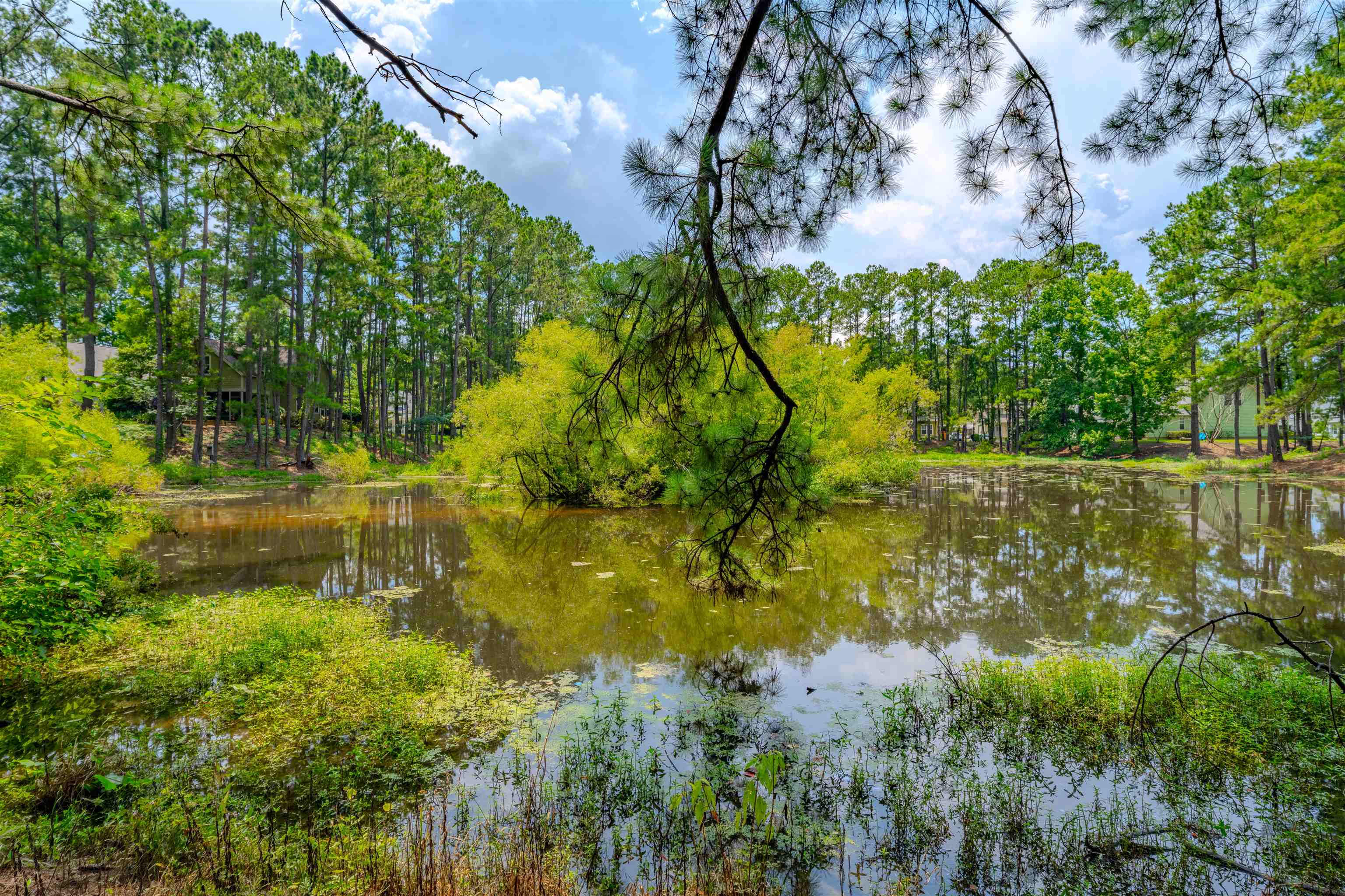 3073 Reed Lane, Tallahassee, Texas image 24