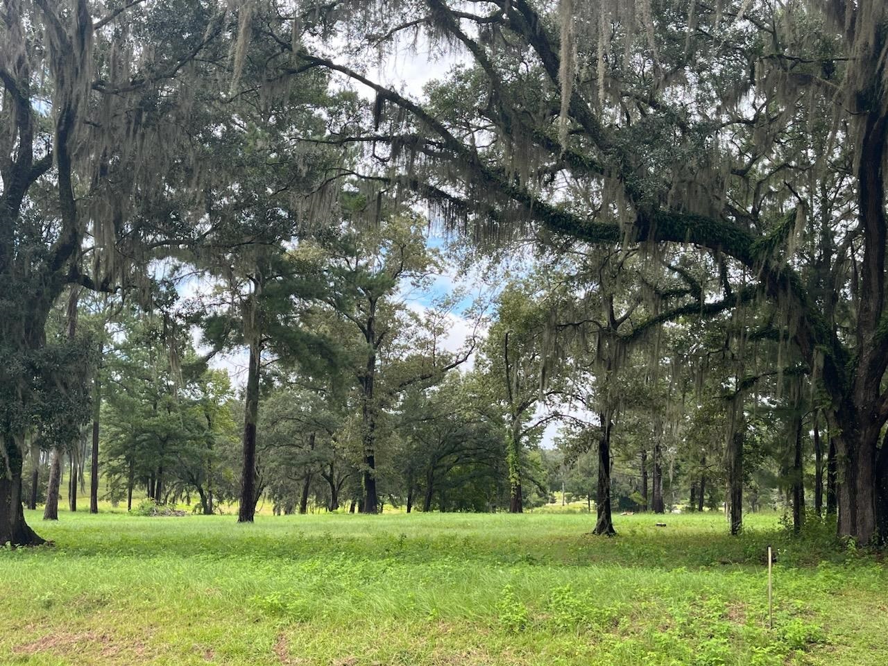 Lot 4 Pine Fair Way, Tallahassee, Texas image 1
