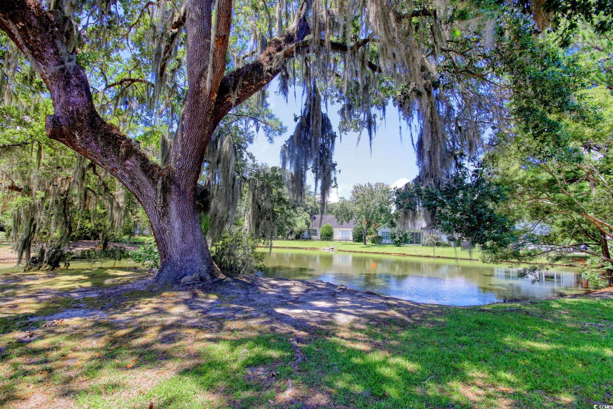 23 Robert Conway Ct. Georgetown, SC 29440