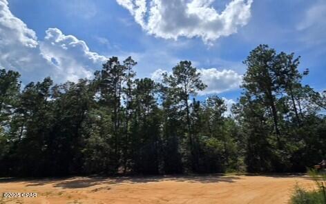 Lot 2 Jackson Road, Marianna, Florida image 1