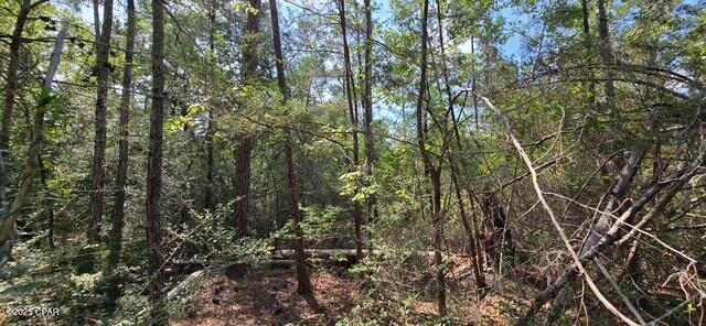 Lot 2 Jackson Road, Marianna, Florida image 2