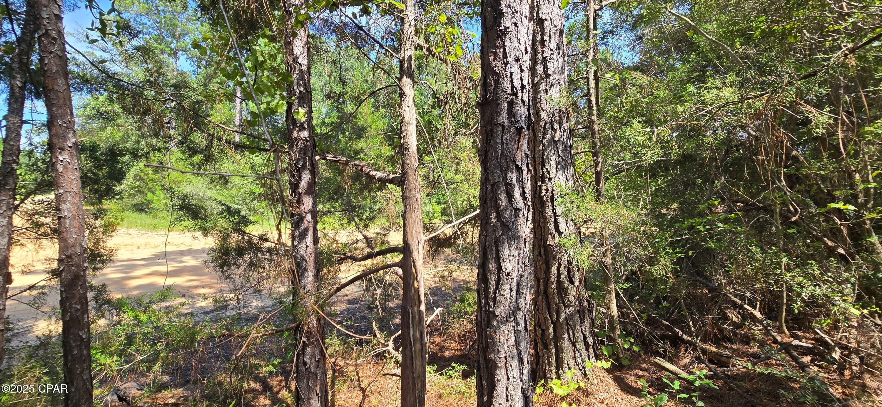 Lot 2 Jackson Road, Marianna, Florida image 3