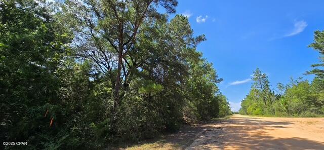 Lot 2 Jackson Road, Marianna, Florida image 4