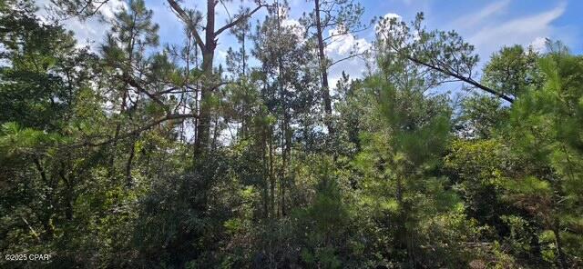 Lot 2 Jackson Road, Marianna, Florida image 5