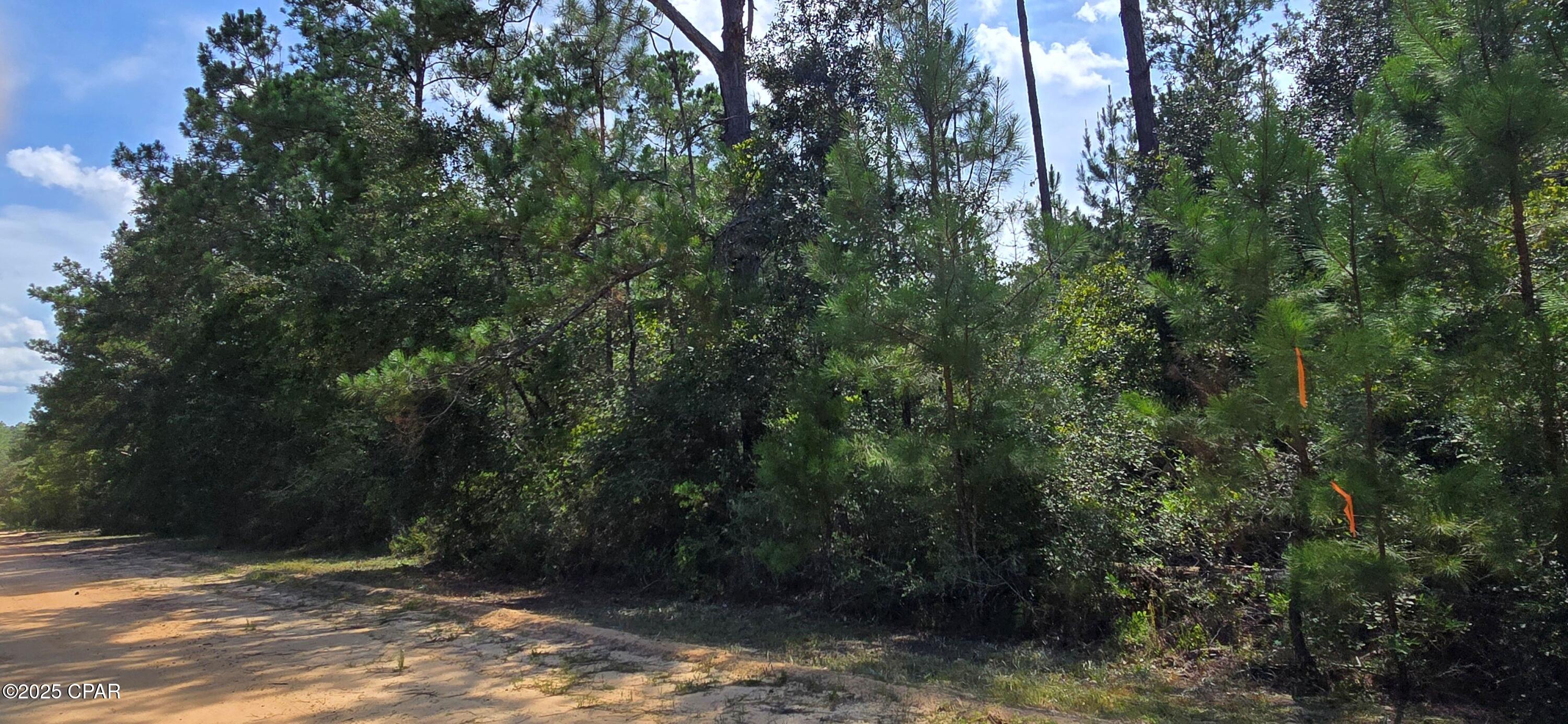 Image 6 For Lot 2 Jackson Road