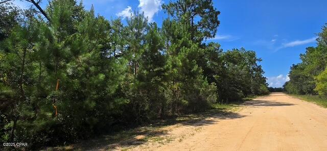 Lot 2 Jackson Road, Marianna, Florida image 7