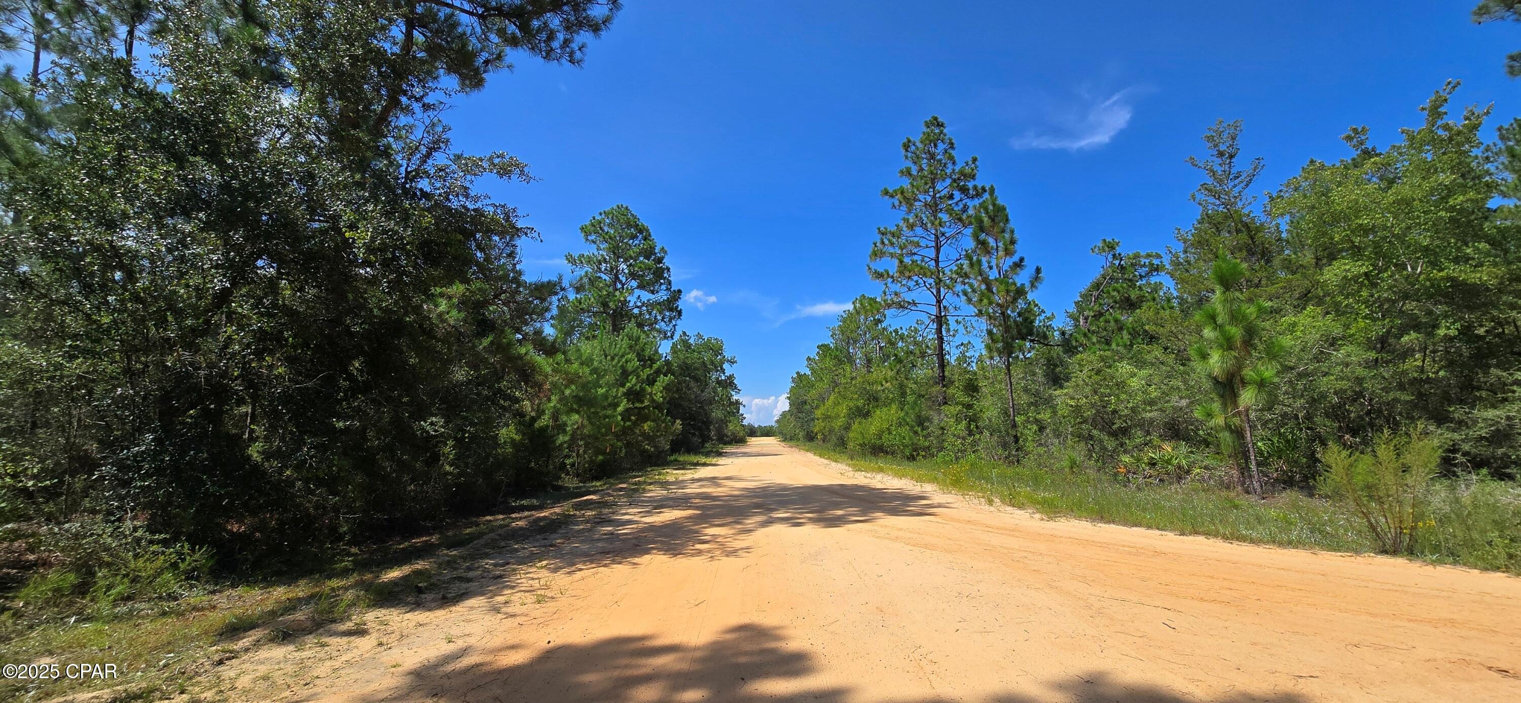Lot 2 Jackson Road, Marianna, Florida image 8
