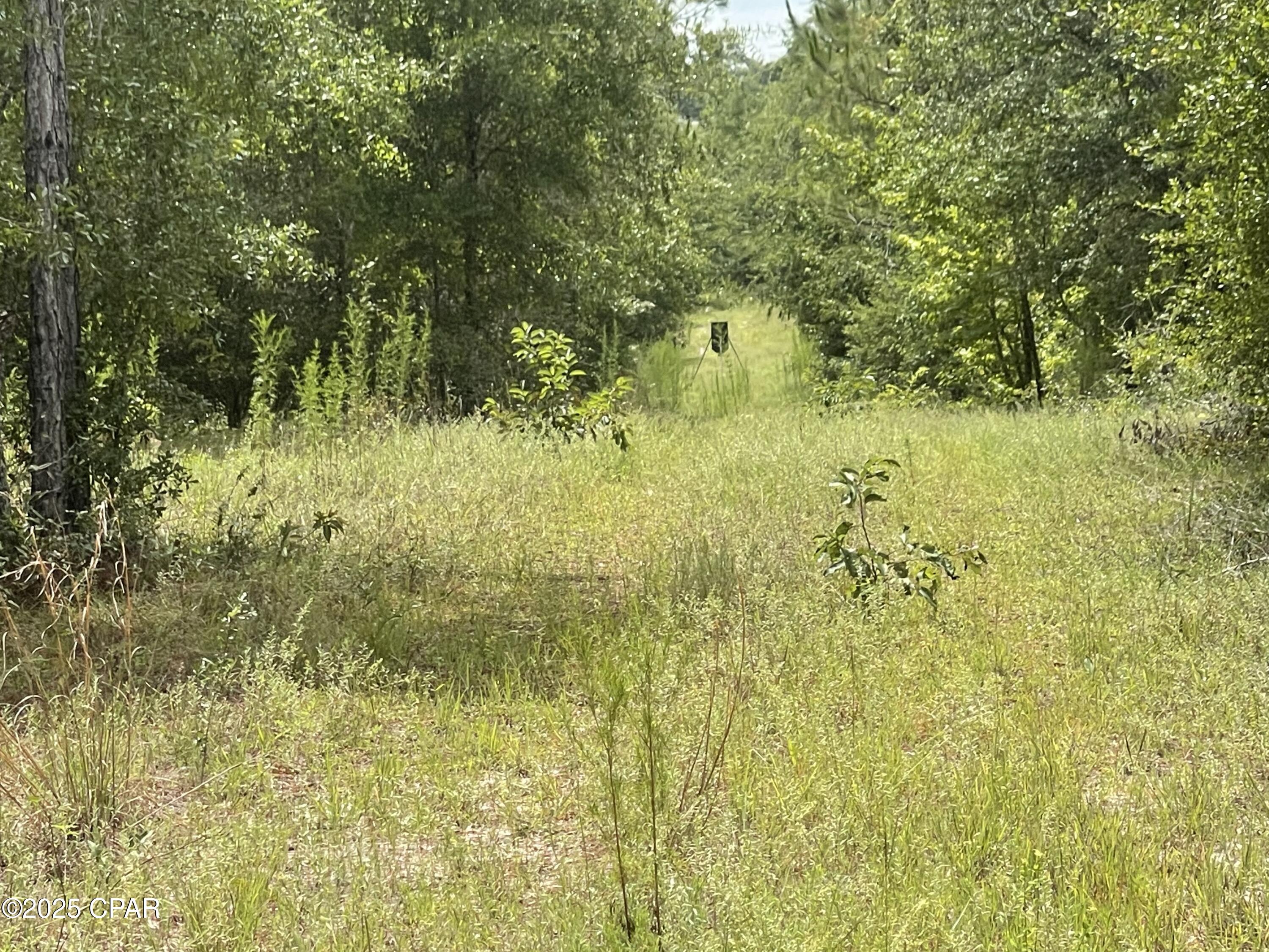 Image 12 For 0000 Us-90  