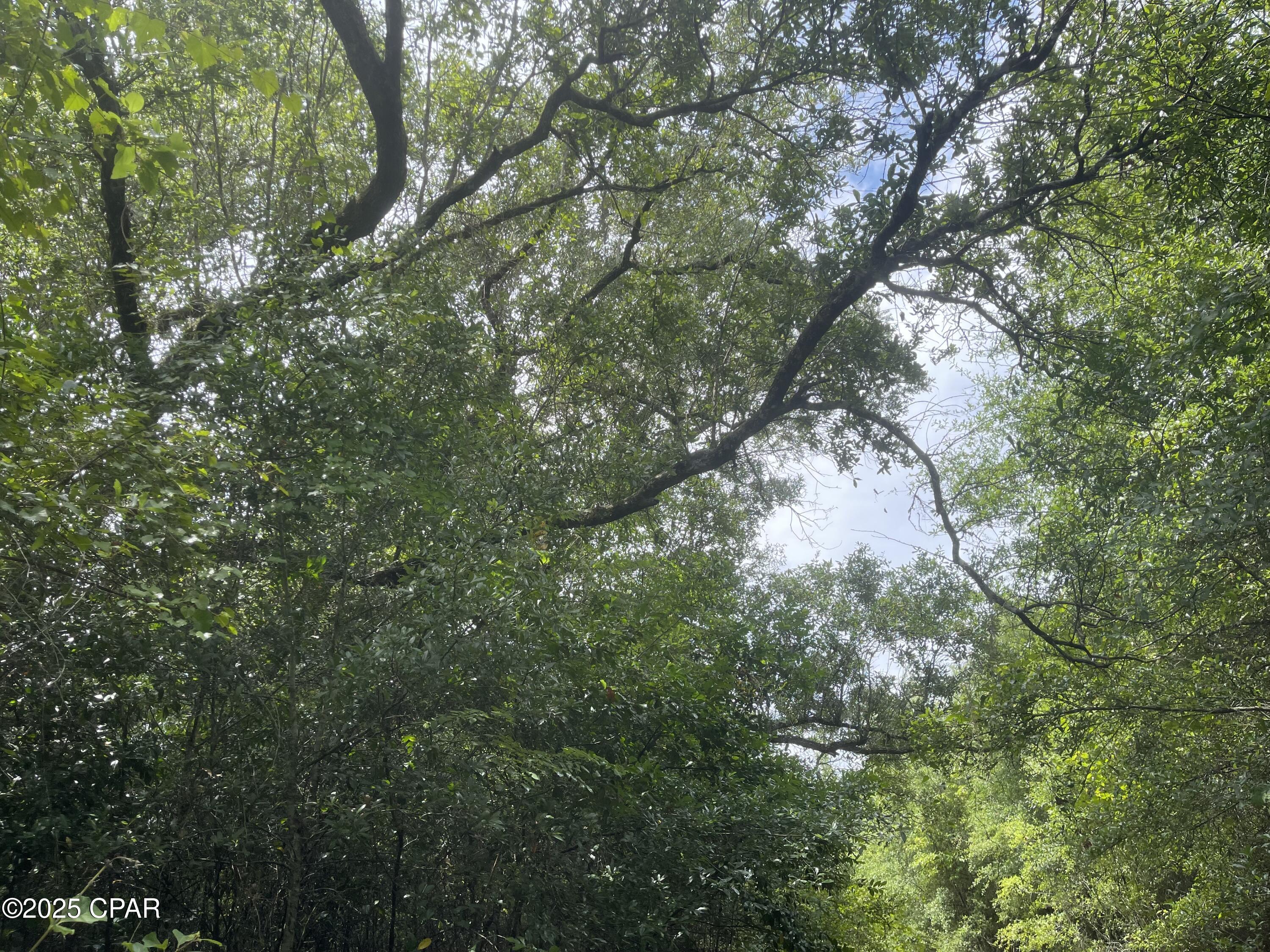 Image 8 For 0000 Us-90  