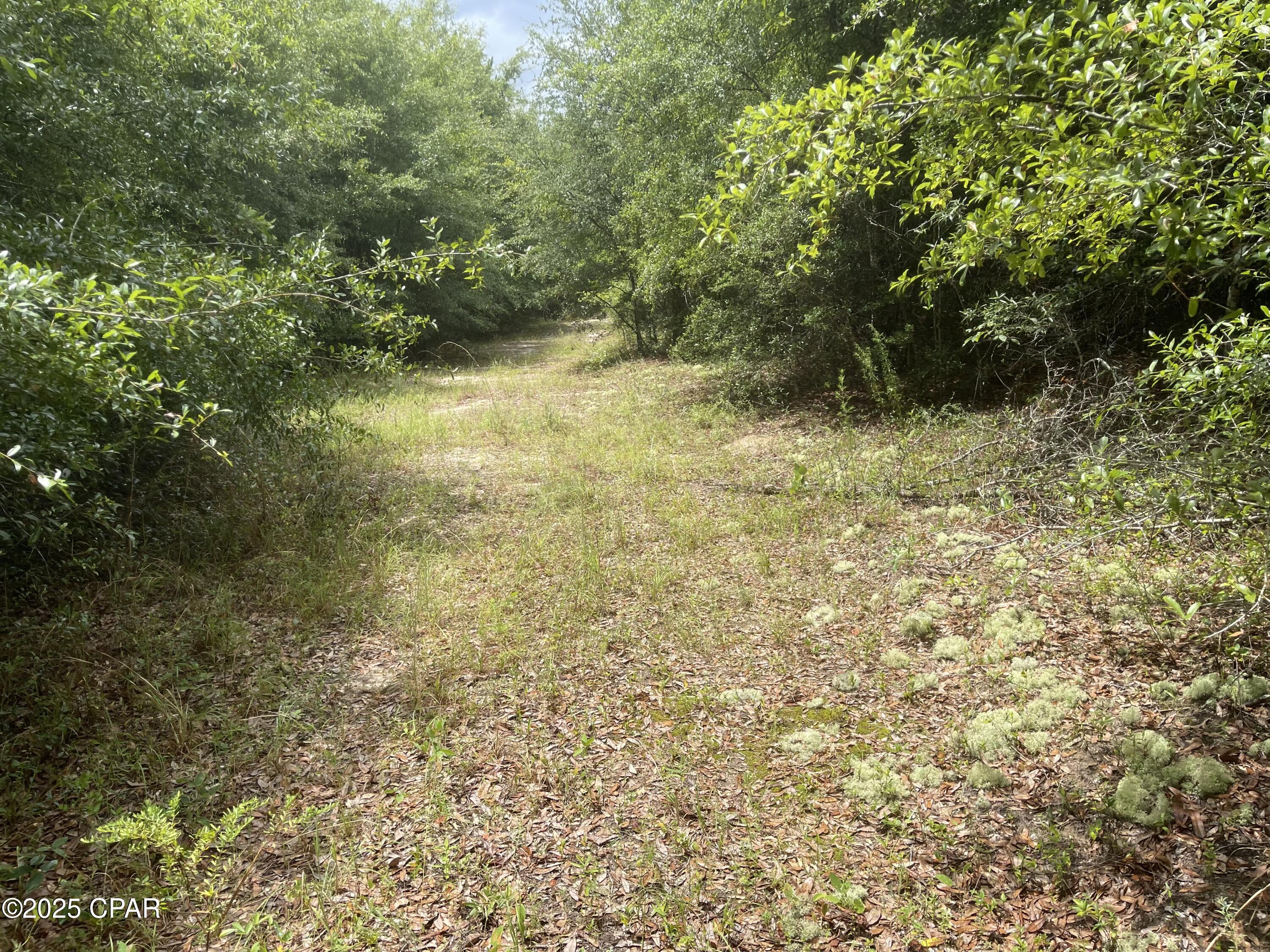 Image 9 For 0000 Us-90  