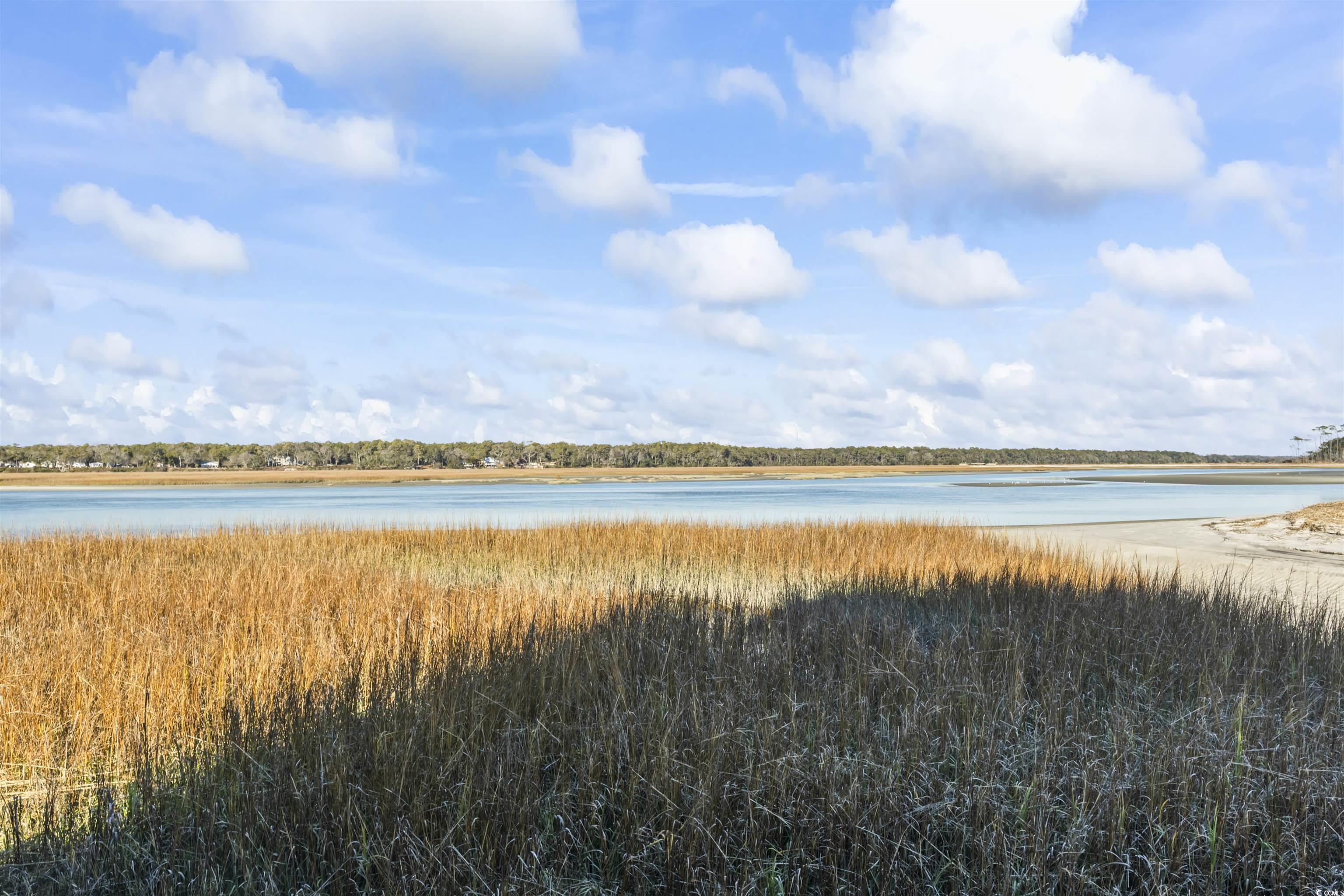 2612 Hillbourne Loop, North Myrtle Beach, South Carolina image 24