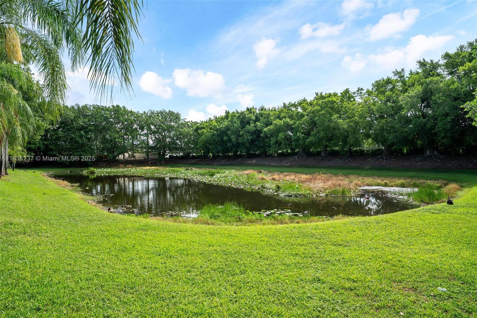 1528 Veracruz Ln #4-3, Weston, Florida image 23