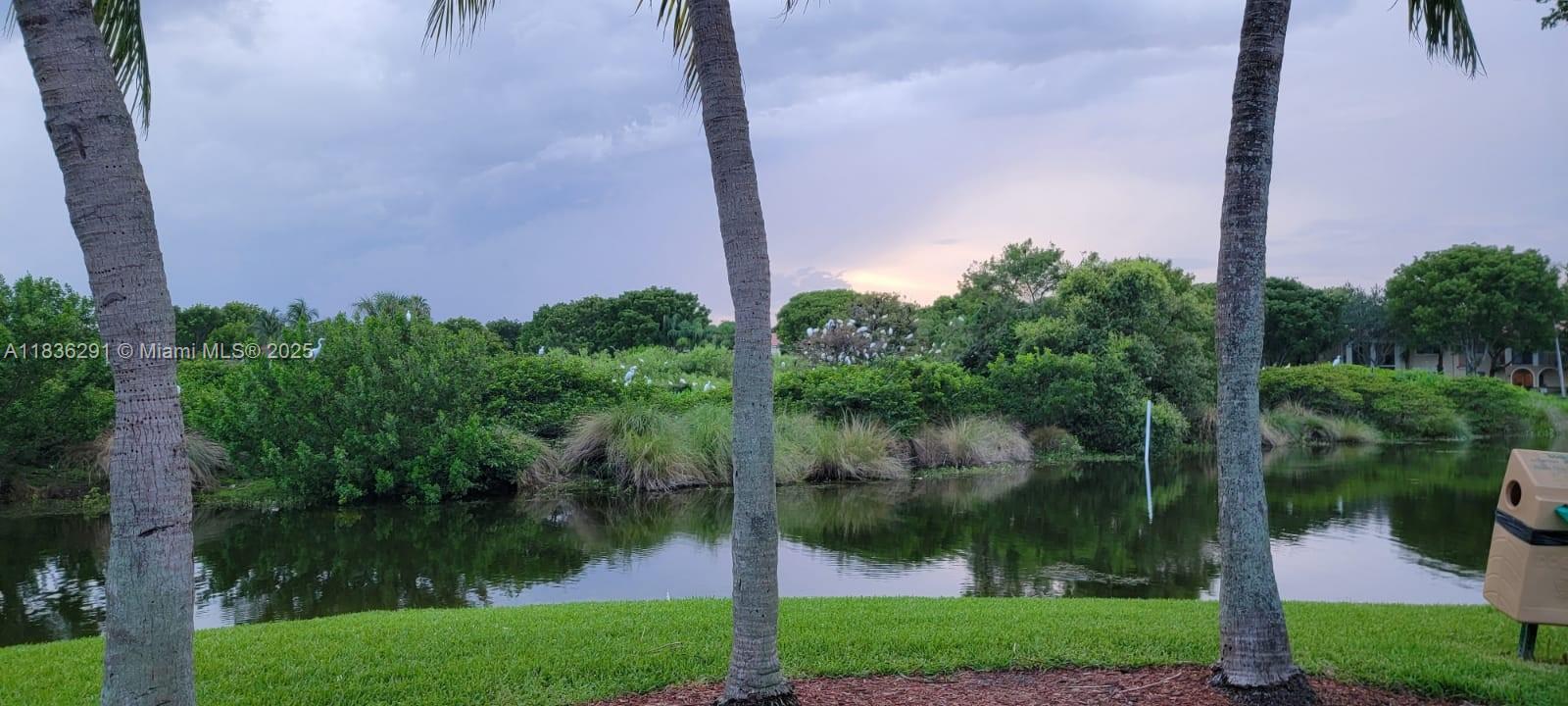 2452 Centergate Dr #103, Miramar, Florida image 32