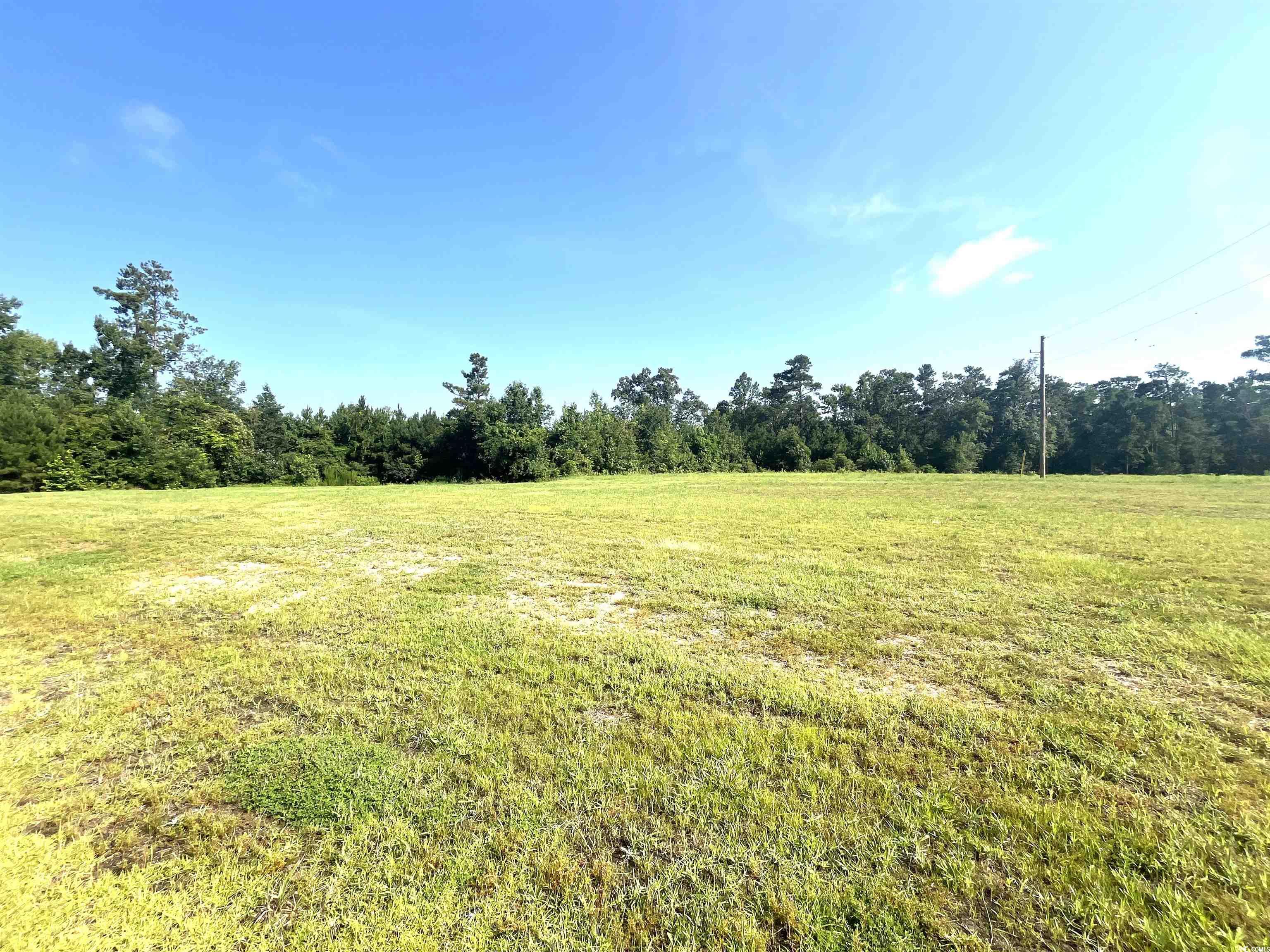 1226 St. John Rd., Galivants Ferry, South Carolina image 18