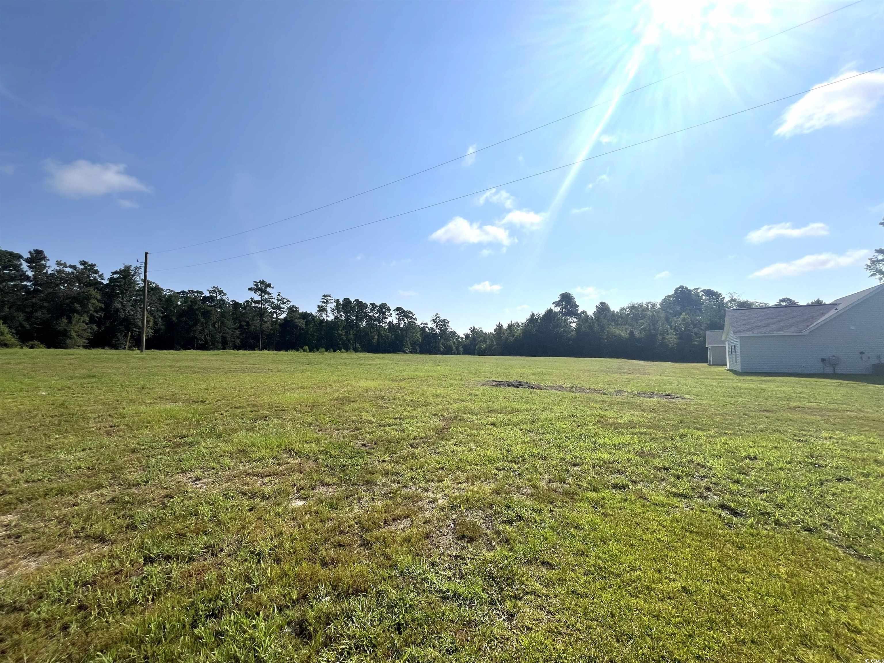 1226 St. John Rd., Galivants Ferry, South Carolina image 19