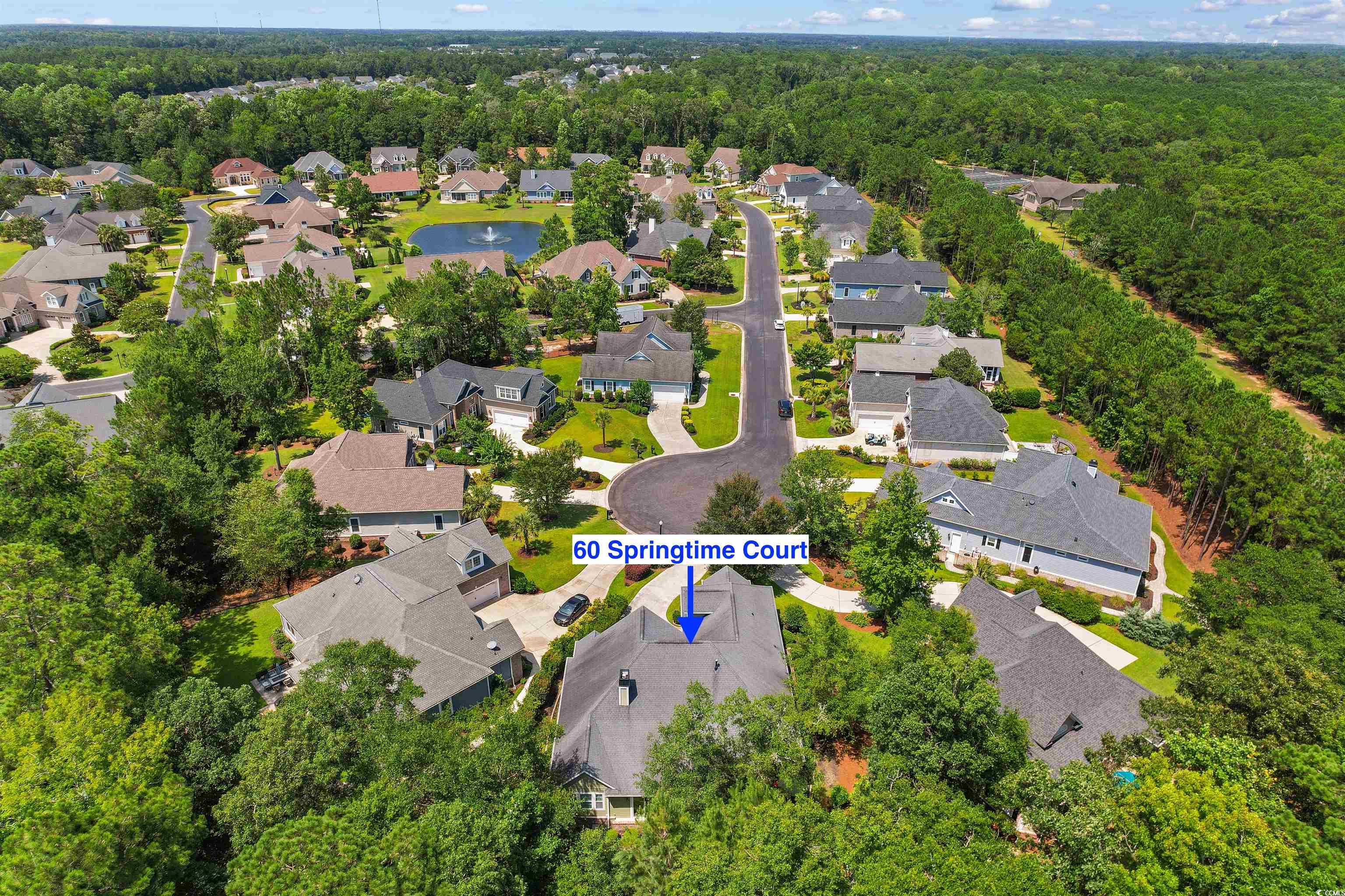 60 Springtime Ct., Murrells Inlet, South Carolina image 38