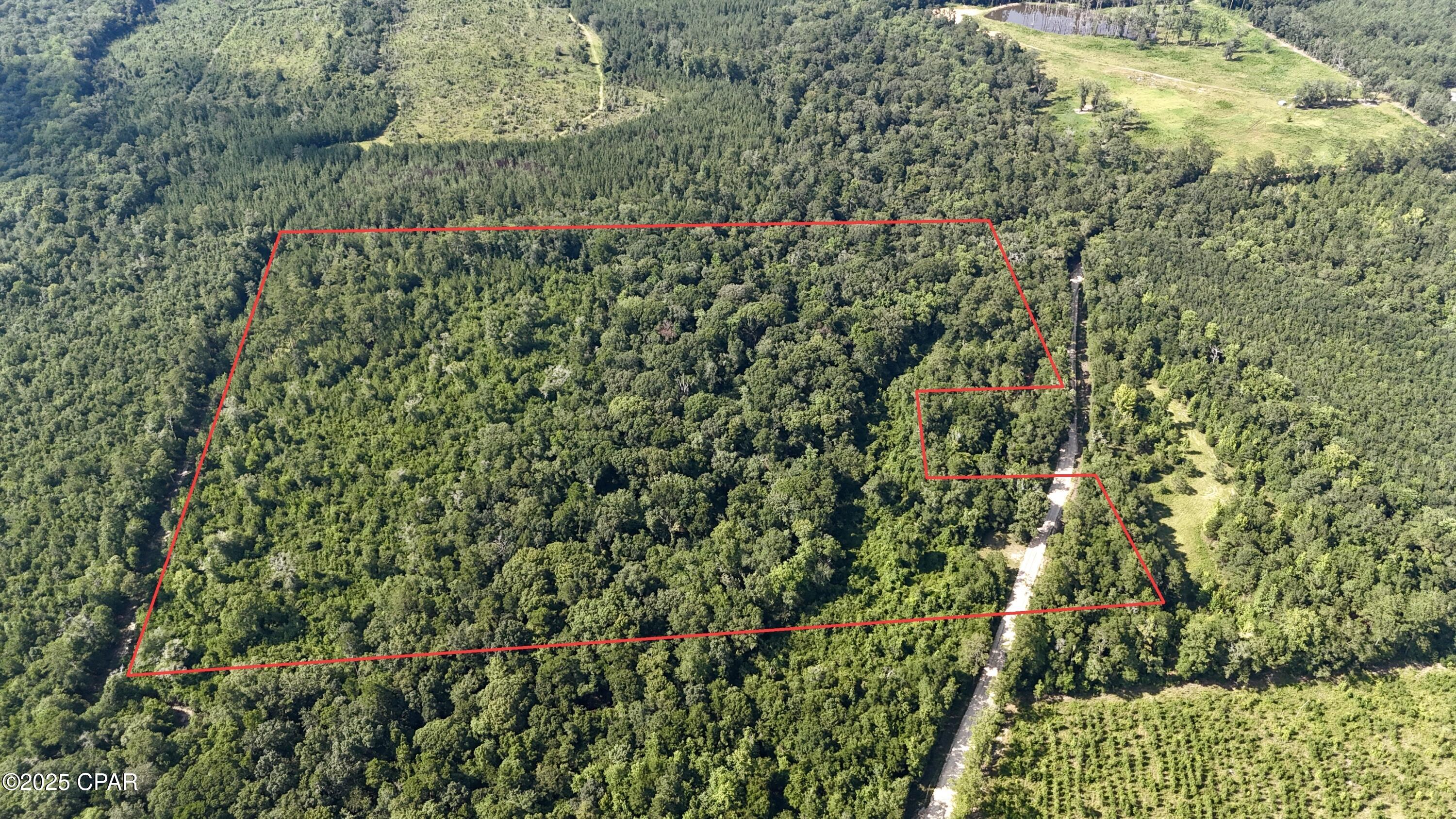 Image 1 For 37+acres Ten Mile Rd