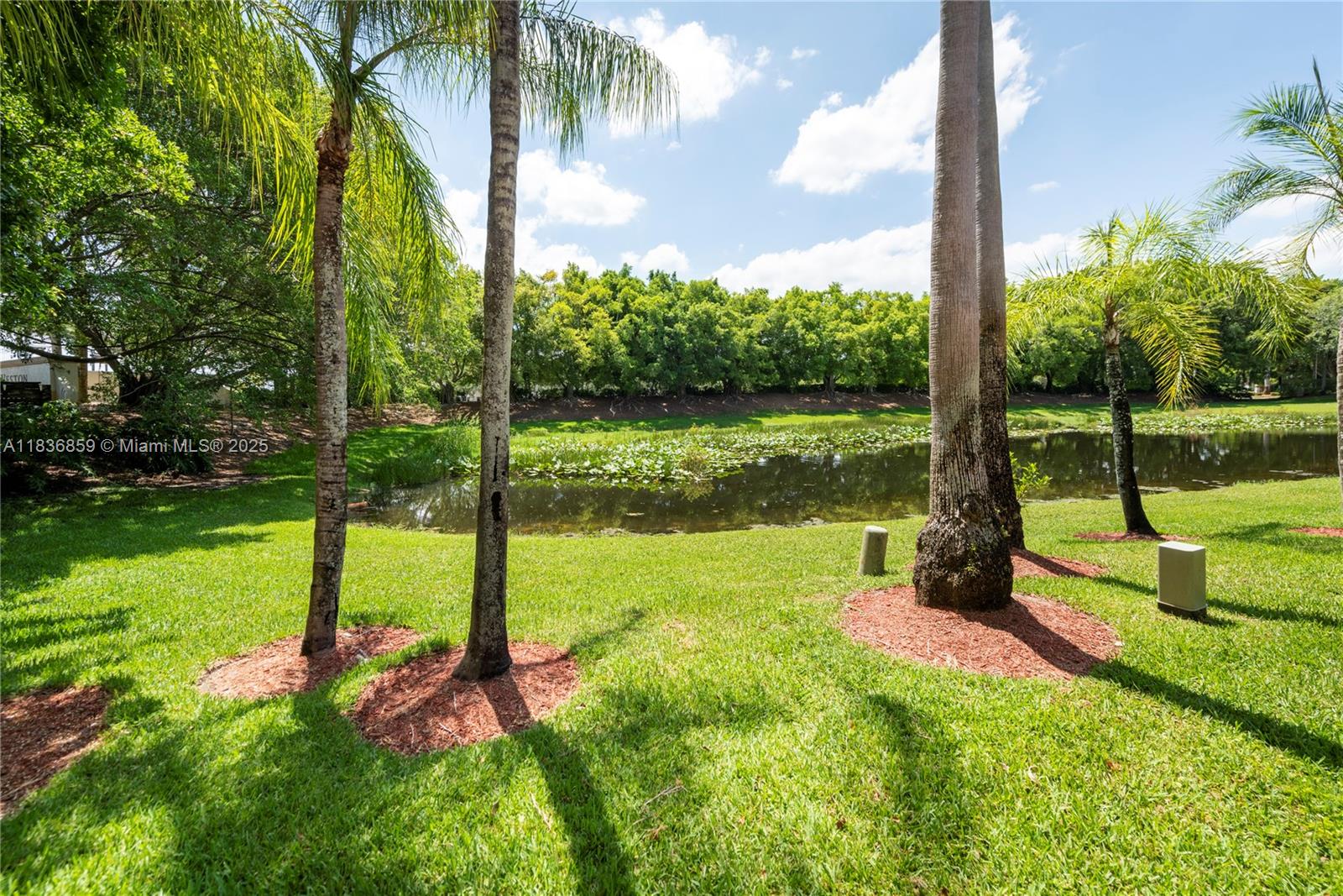 1606 Veracruz Ln, Weston, Florida image 22
