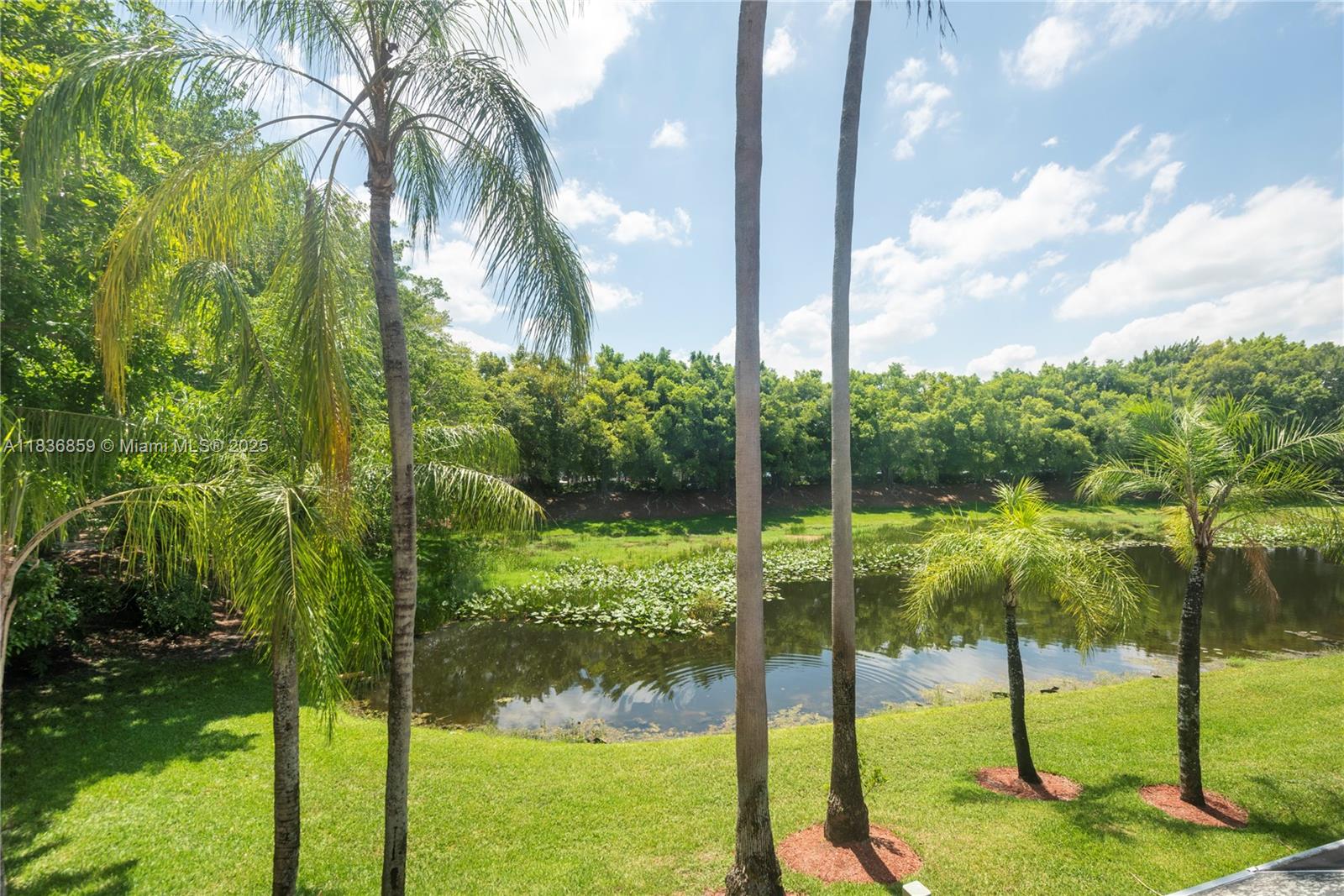 1606 Veracruz Ln, Weston, Florida image 23