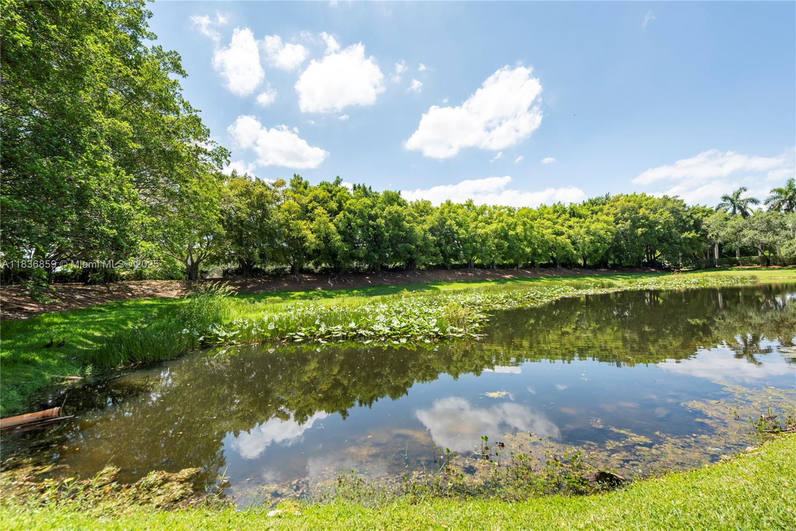 1606 Veracruz Ln, Weston, Florida image 24