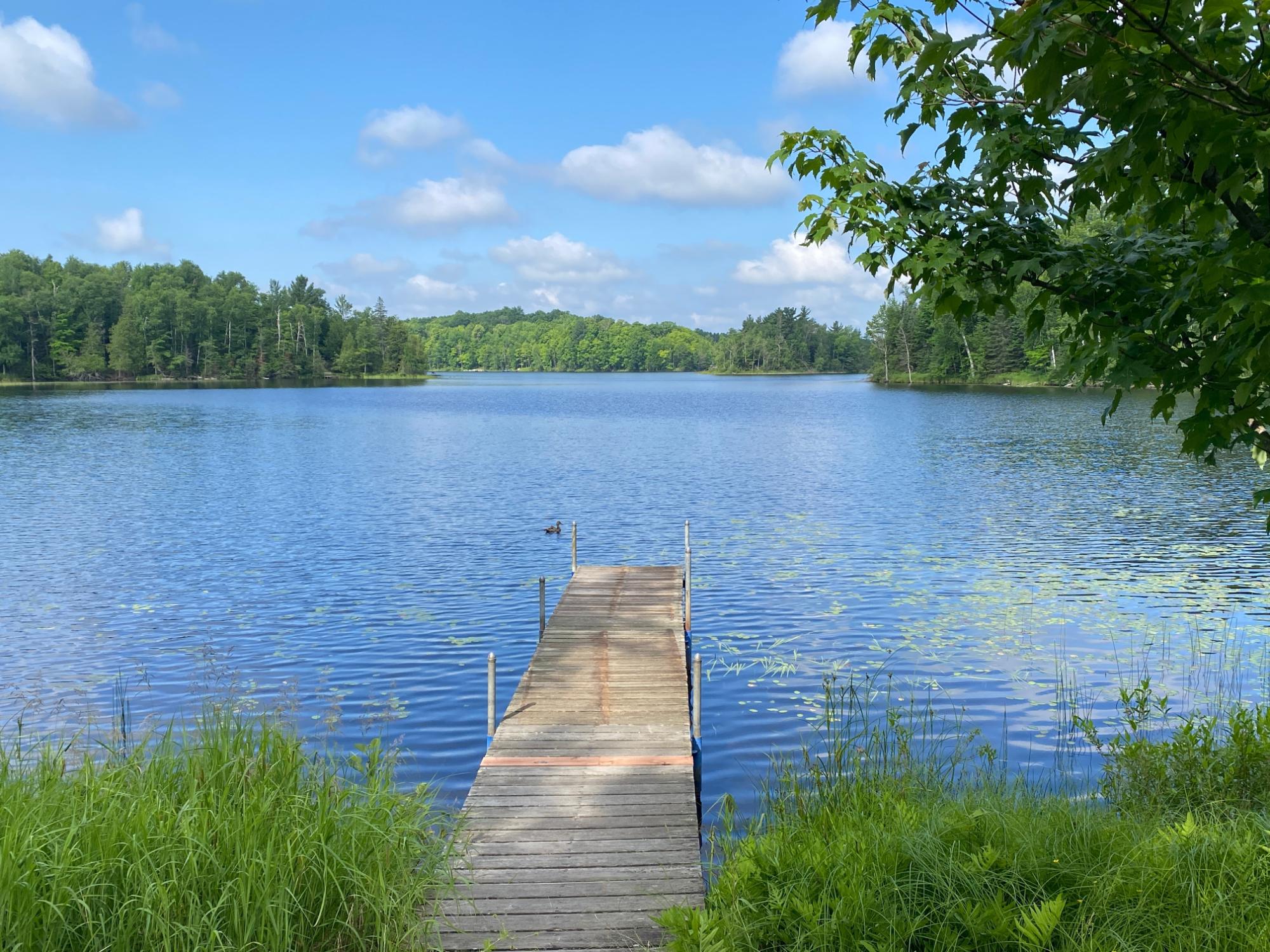 Oxbow Lake Property 8195 Bay Rd E Photo 33