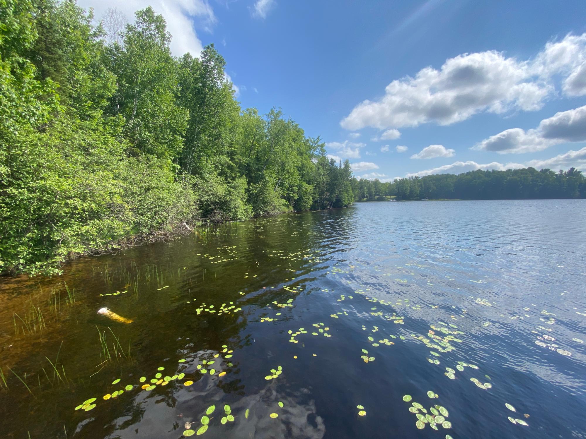 Oxbow Lake Property 8195 Bay Rd E Photo 34