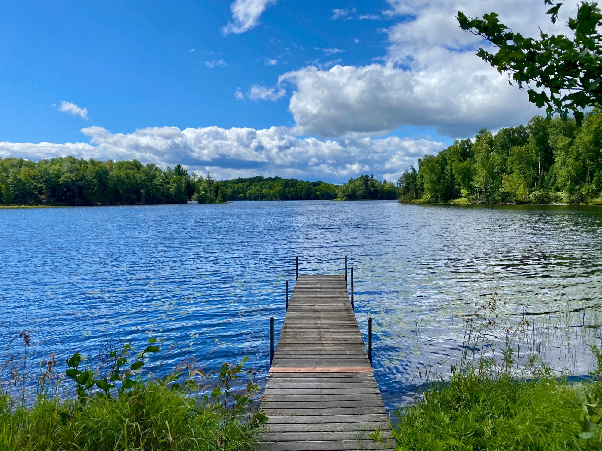 Oxbow Lake Property 8195 Bay Rd E Photo 36