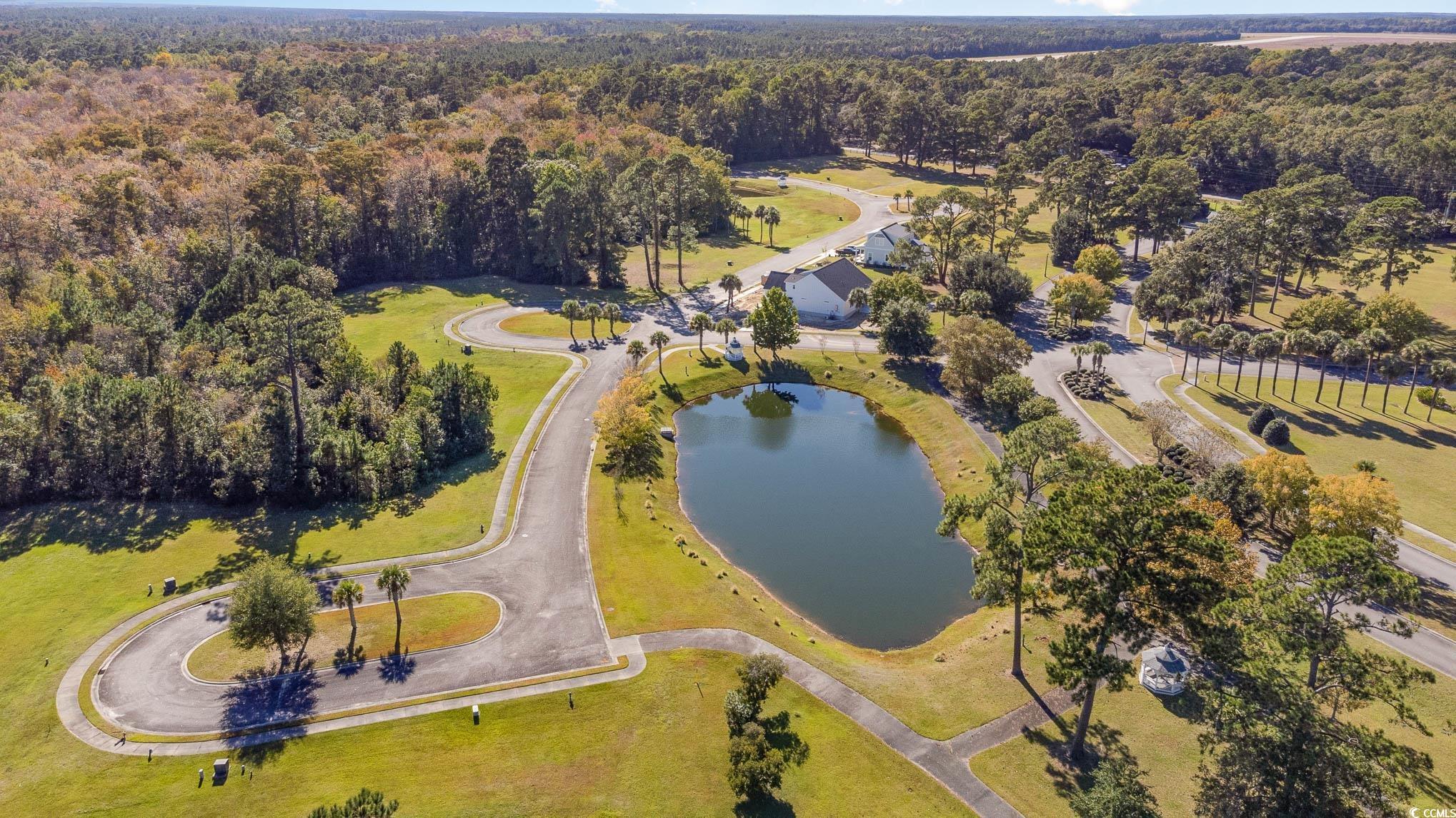 706 Daisy Bank Circle, Georgetown, South Carolina image 20