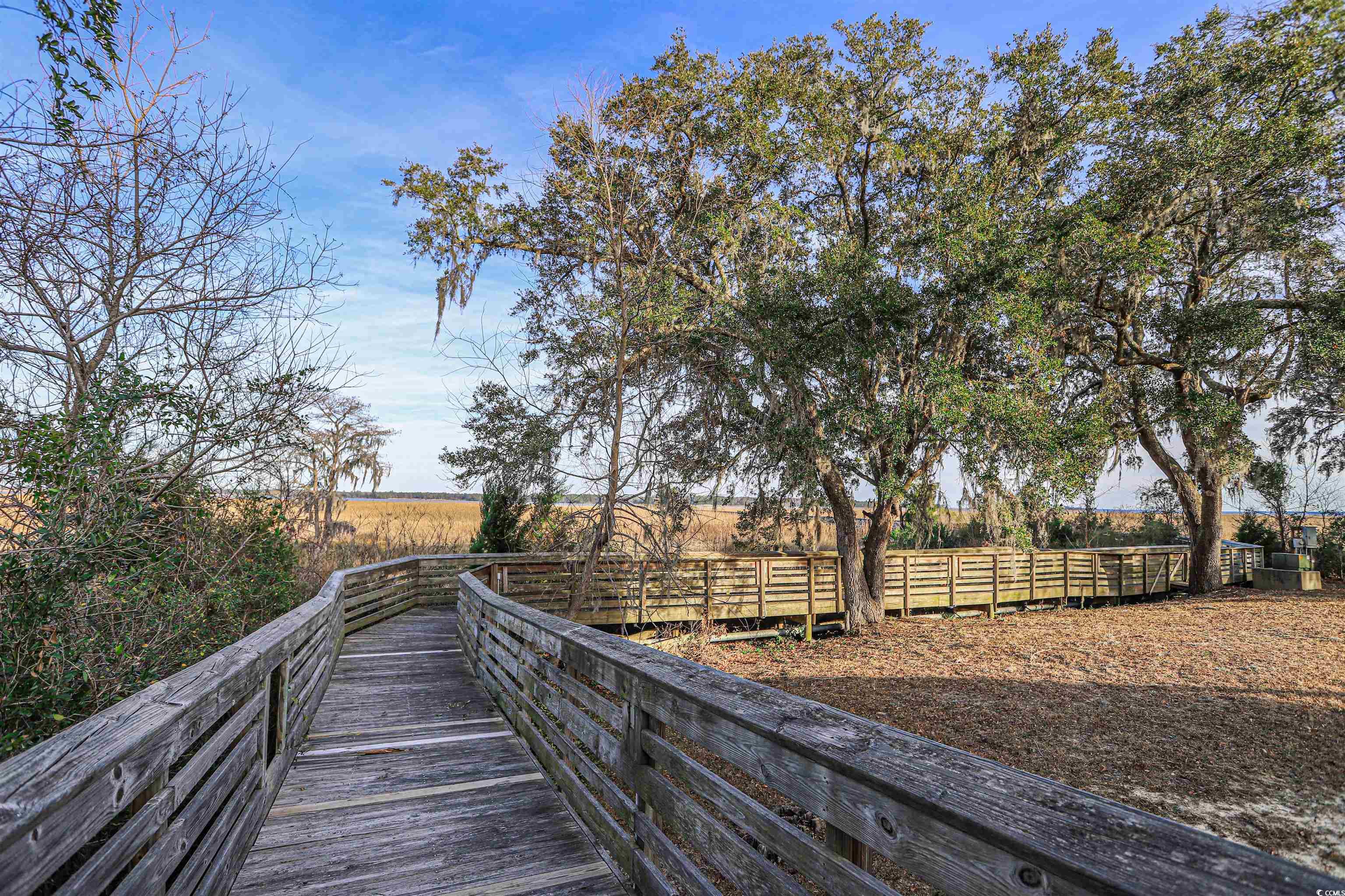 706 Daisy Bank Circle, Georgetown, South Carolina image 6