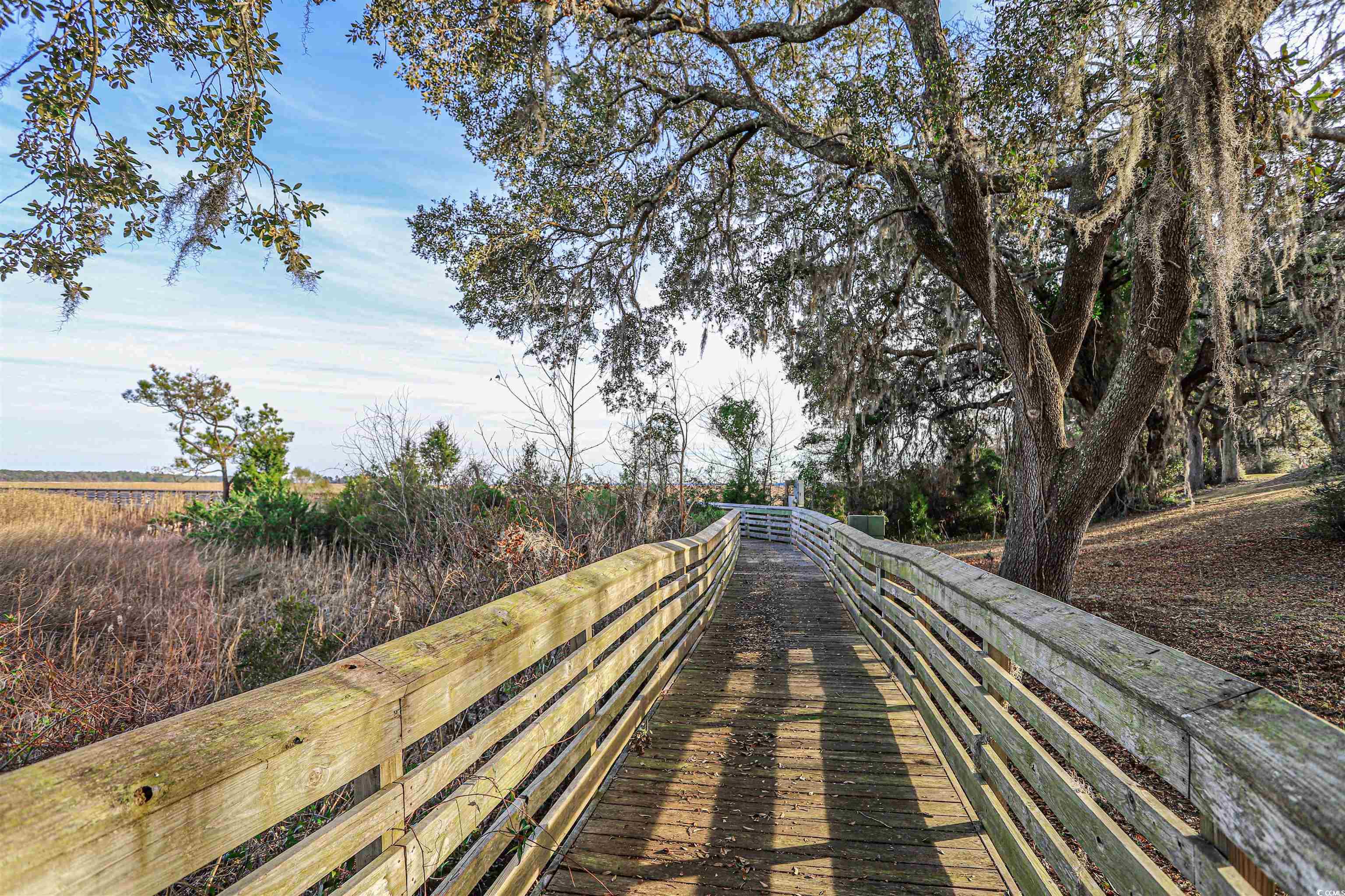 706 Daisy Bank Circle, Georgetown, South Carolina image 7