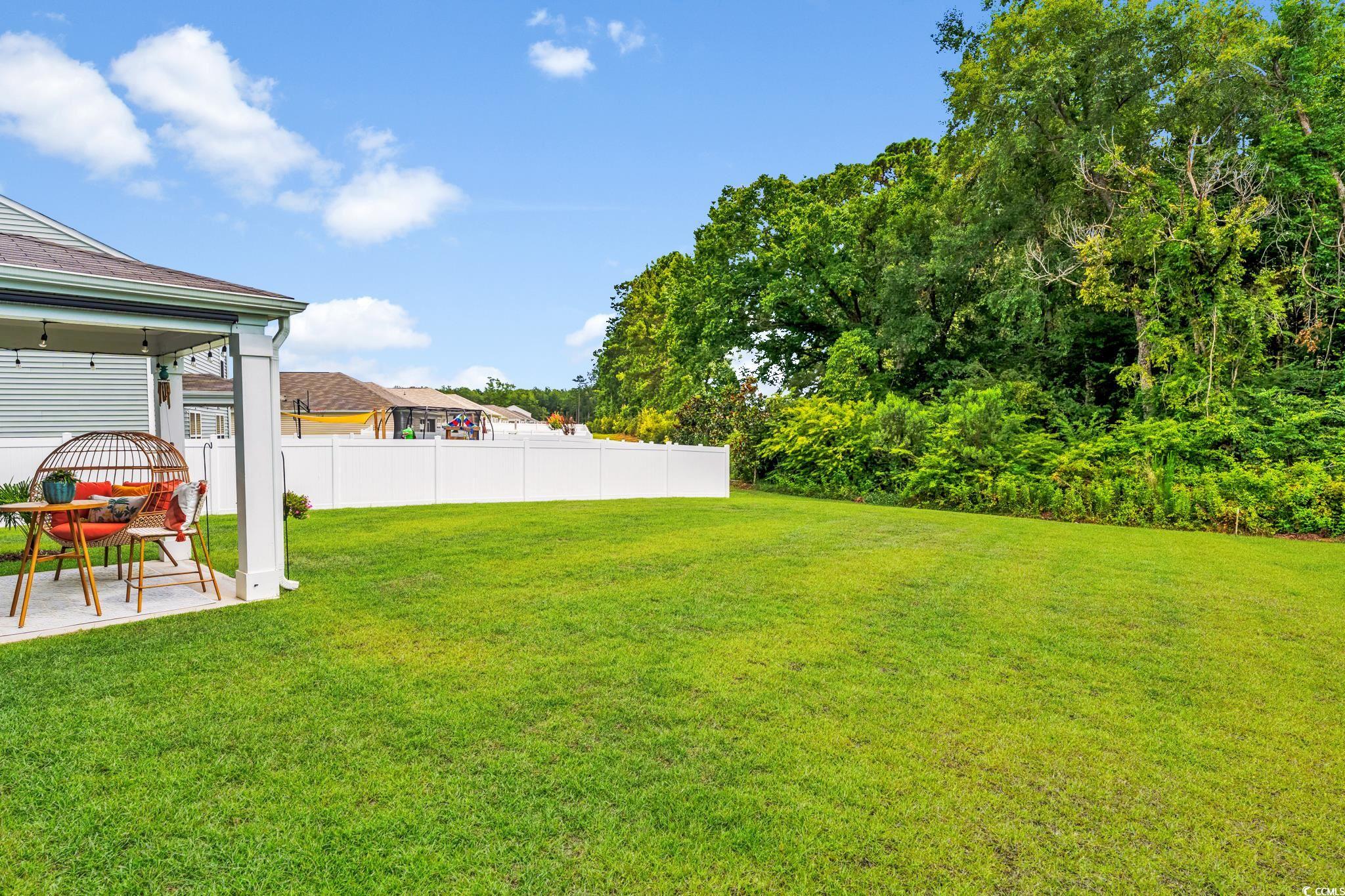358 Spruce Pine Way, Conway, South Carolina image 18