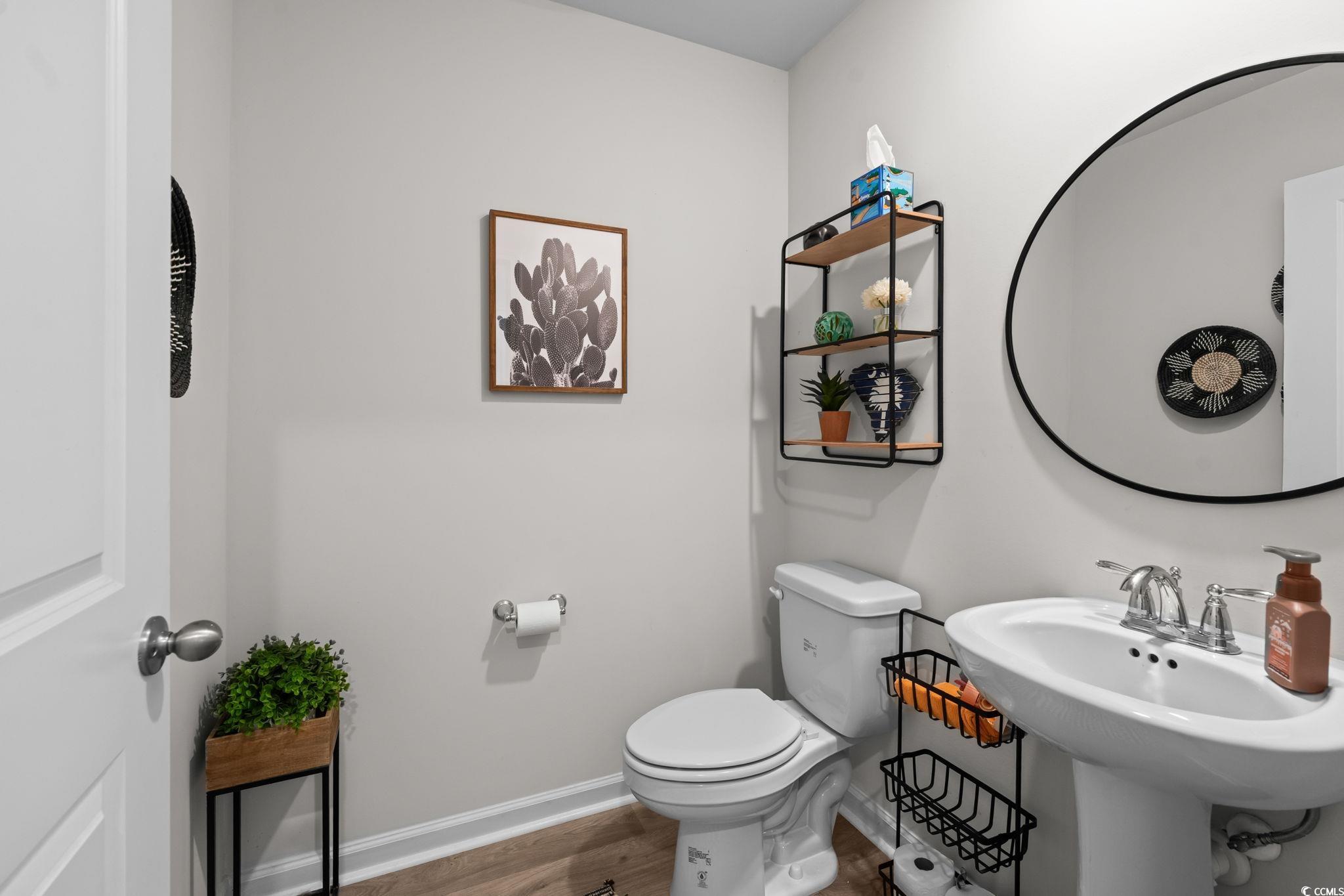 358 Spruce Pine Way, Conway, South Carolina image 24