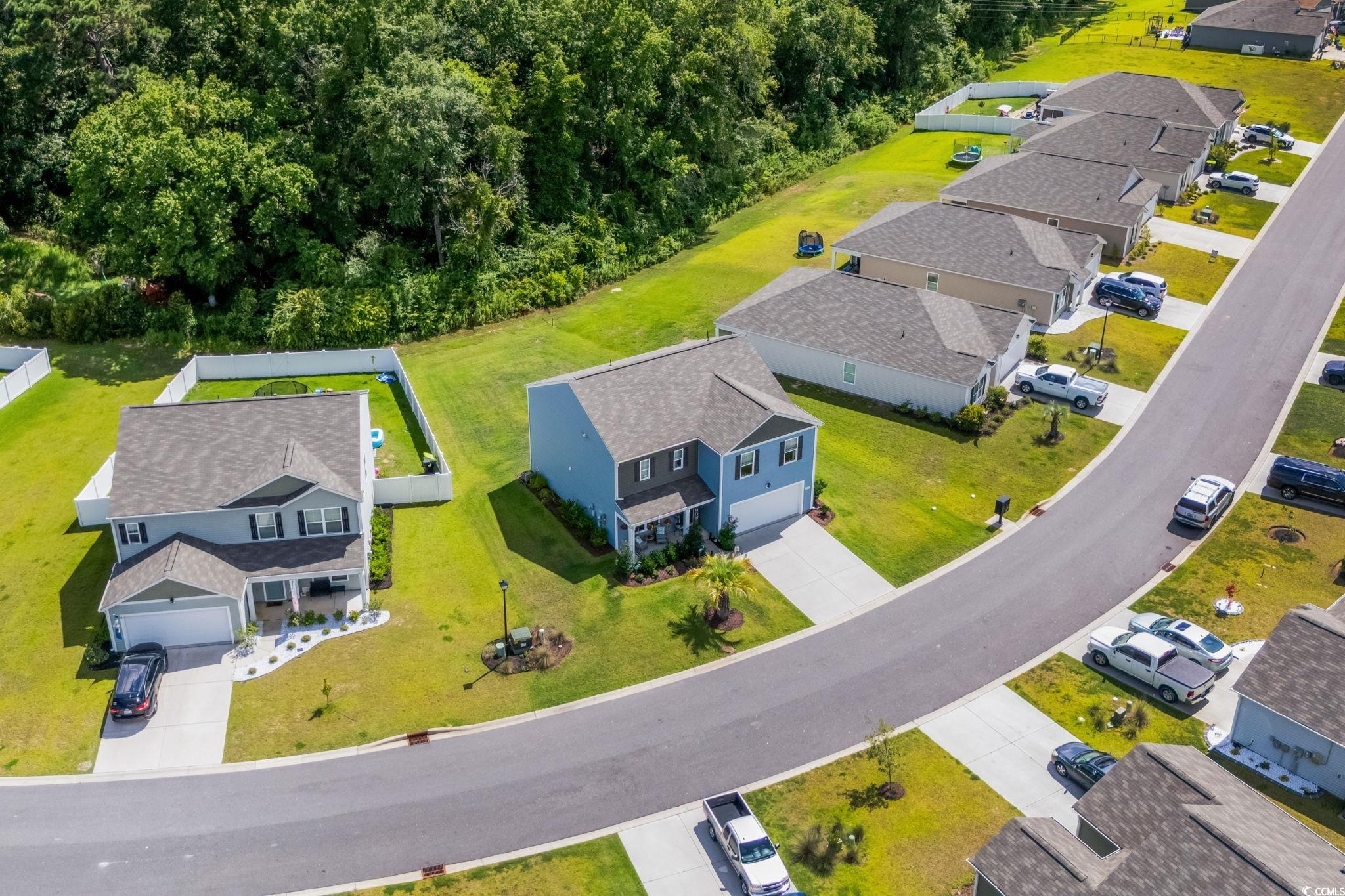 358 Spruce Pine Way, Conway, South Carolina image 3