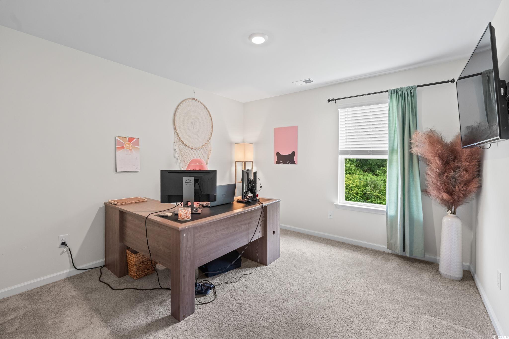 358 Spruce Pine Way, Conway, South Carolina image 33