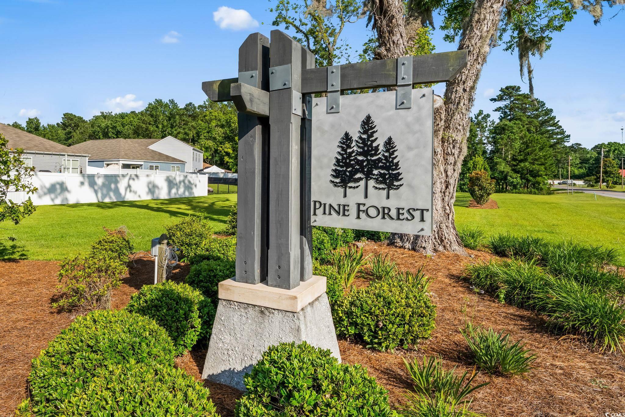 358 Spruce Pine Way, Conway, South Carolina image 39