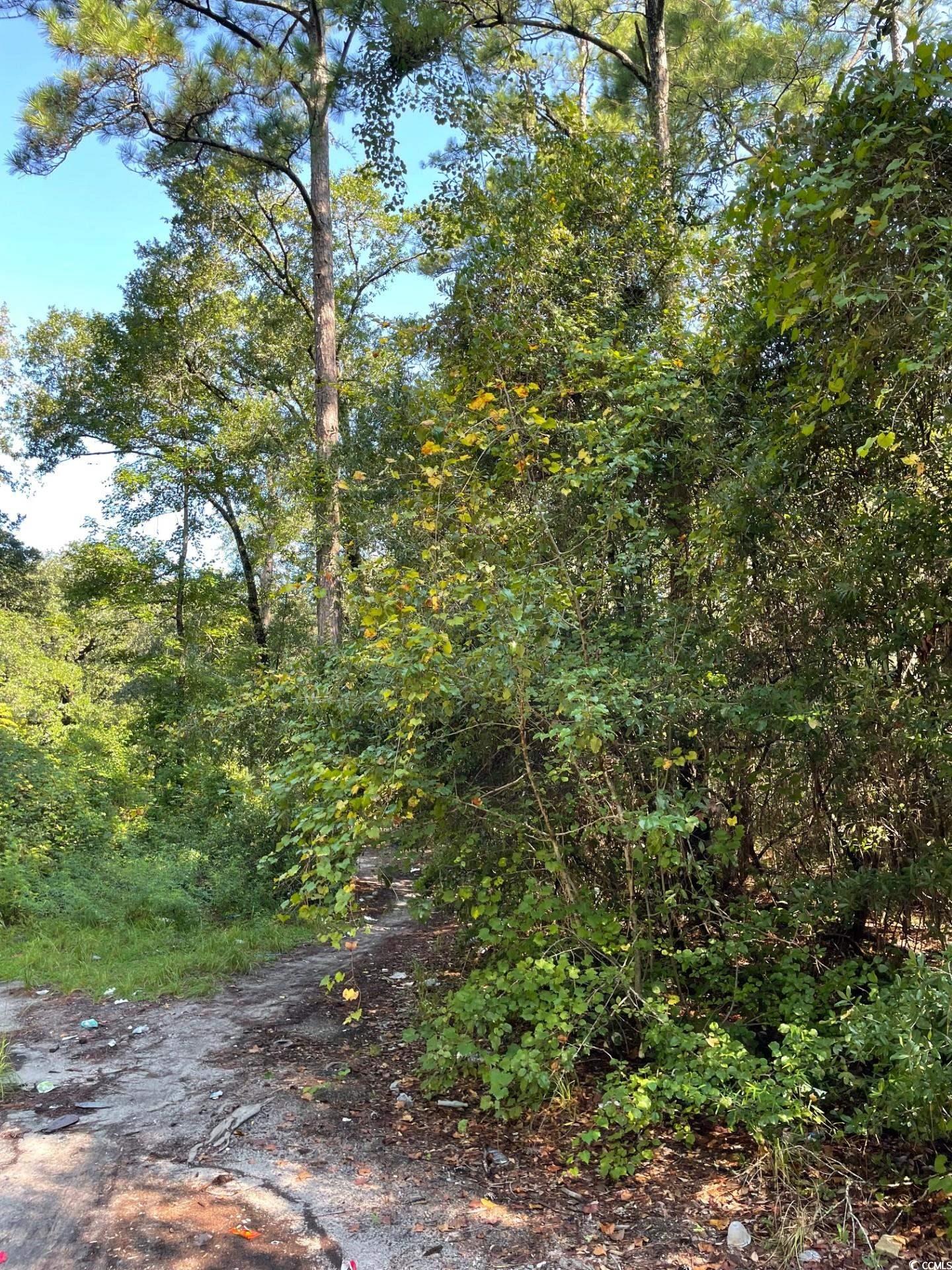 TBD Bellamy Dr. Little River, SC 29566